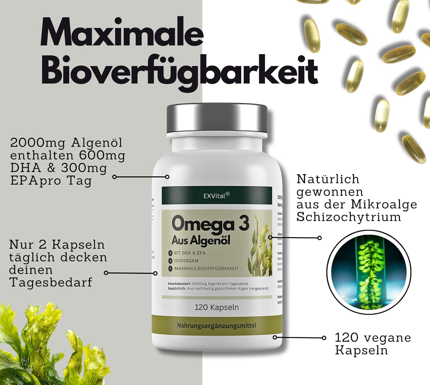 EXVital Herz Kreislauf omega 3 alghe 120 softgel