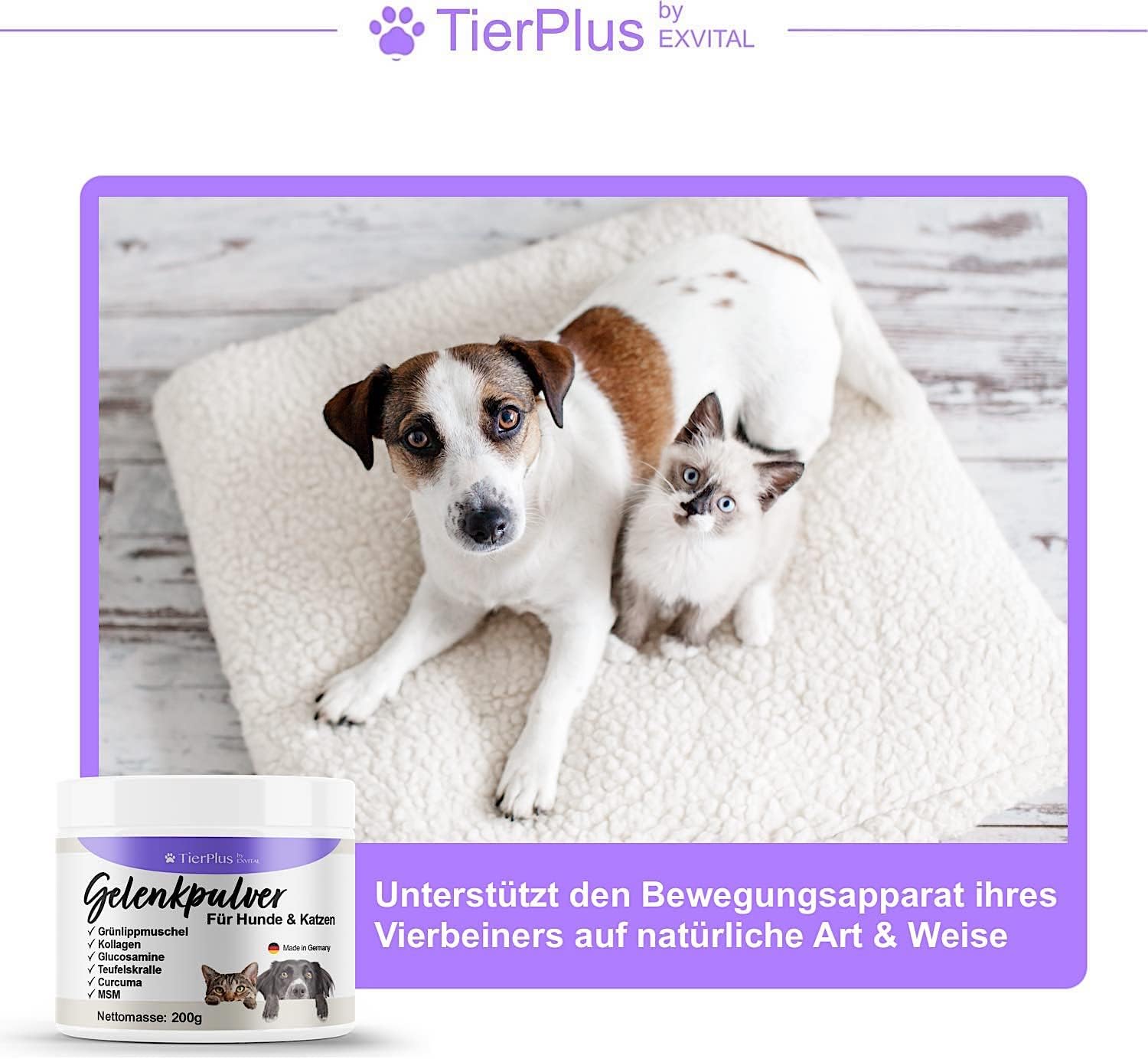 EXVital TierPlus polvere articolazioni cani gatti cozza verde