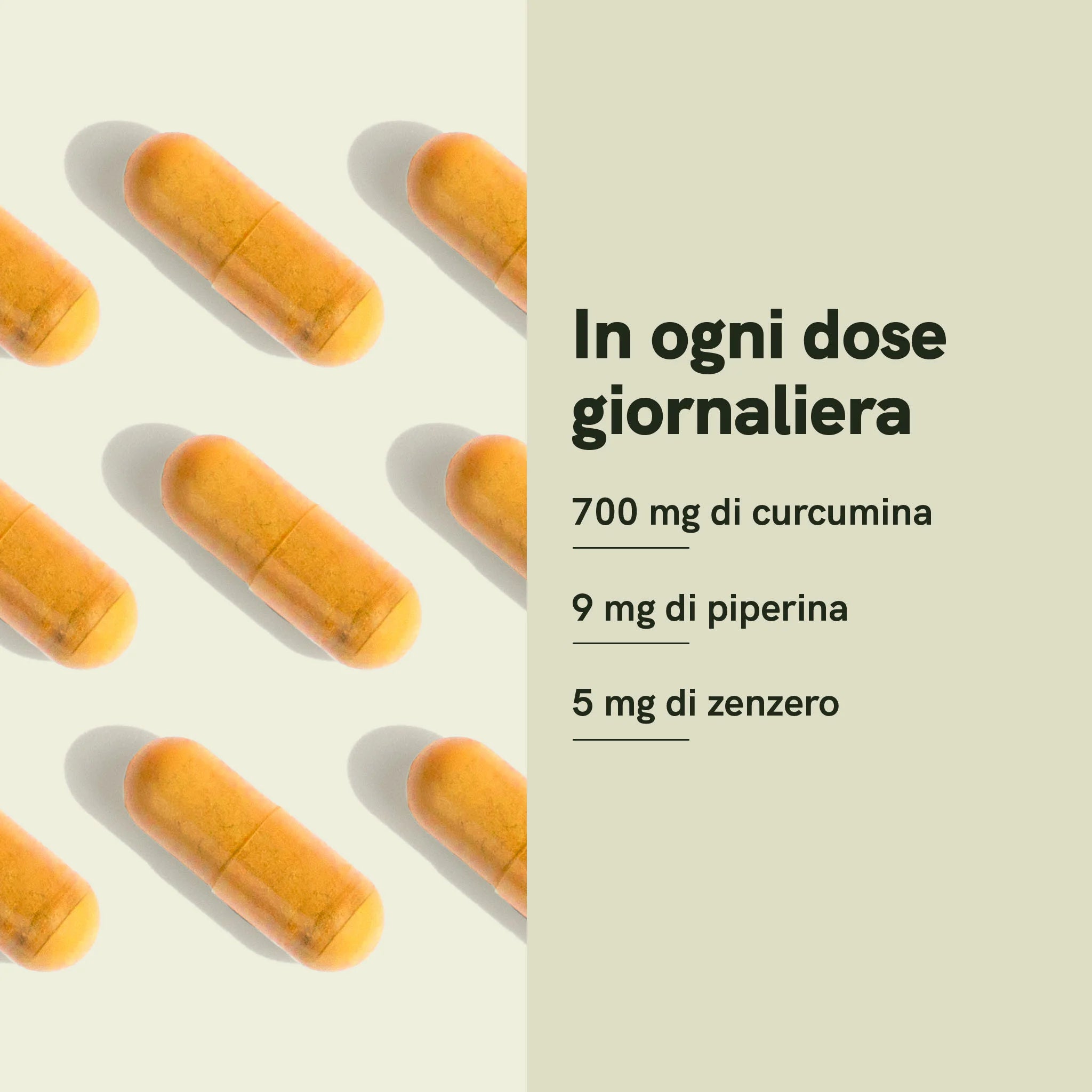 Nordic Oil Curcumina 700 mg 120 Capsule con piperina