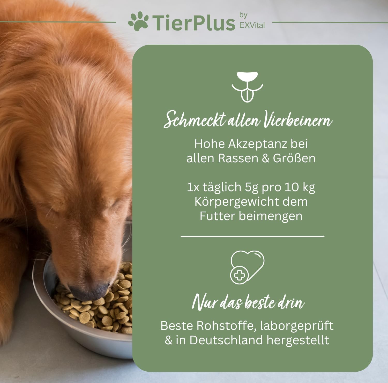 EXVital TierPlus Long Life polvere cani senior omega 3