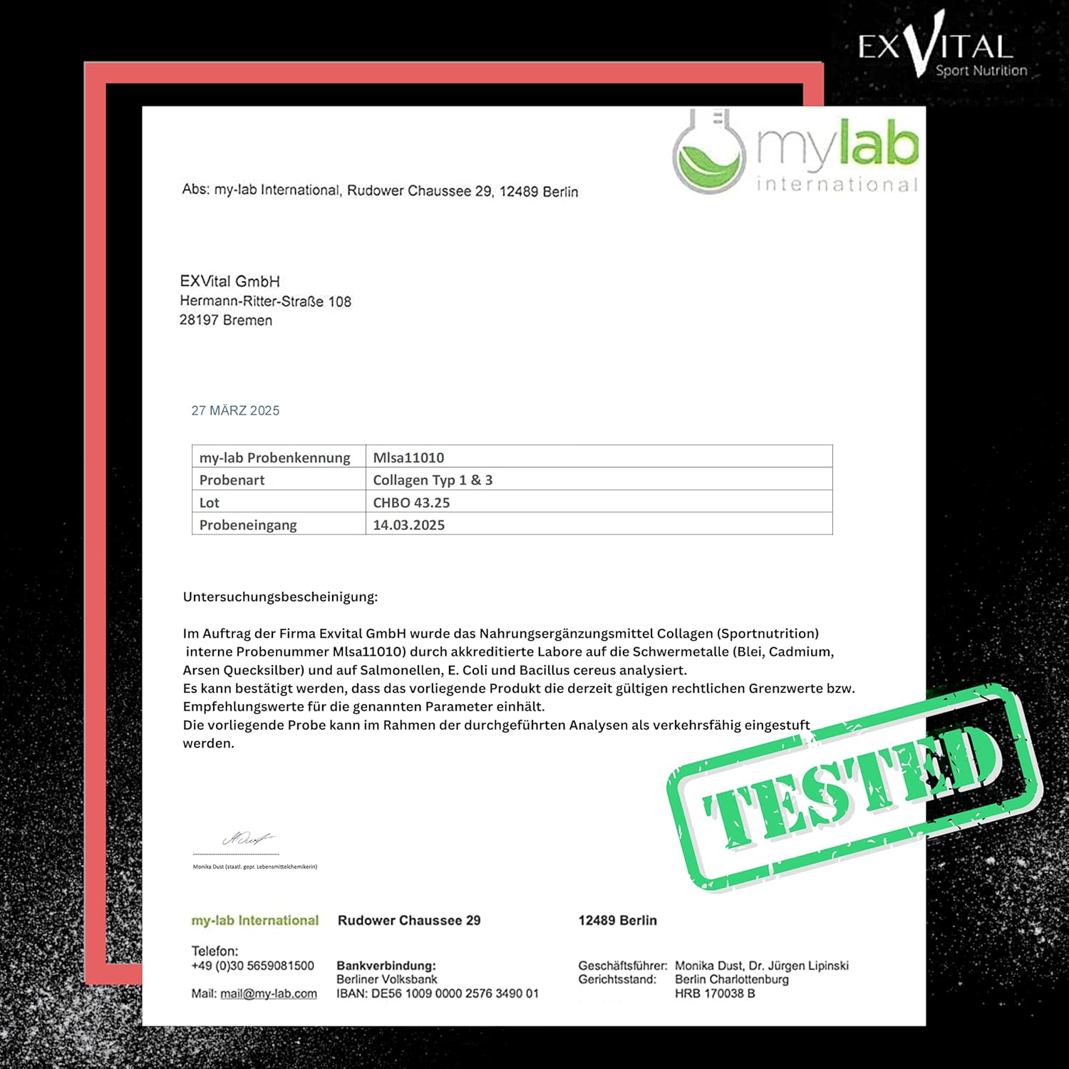 EXVital Kollagen collagene polvere 400 g tipo 1 e 3 neutro
