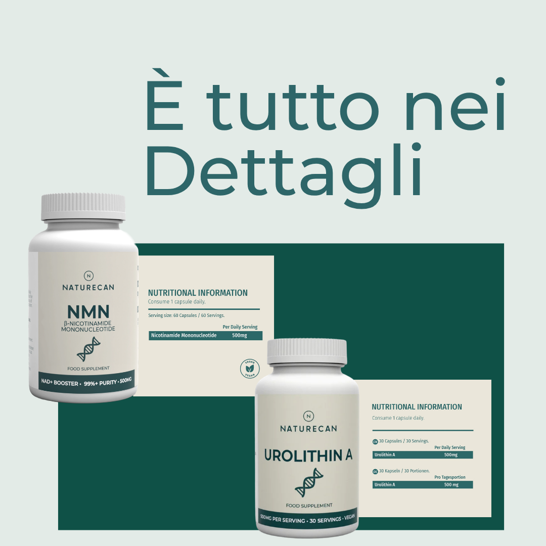 Naturecan Bundles NMN Urolitina A Integratore 60 Capsule Energia