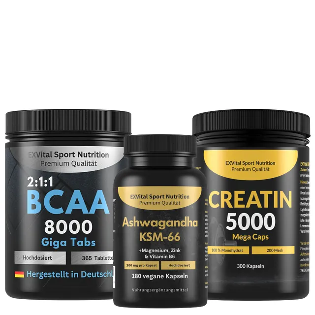 EXVital Workout Regeneration Set BCAA creatina ashwagandha