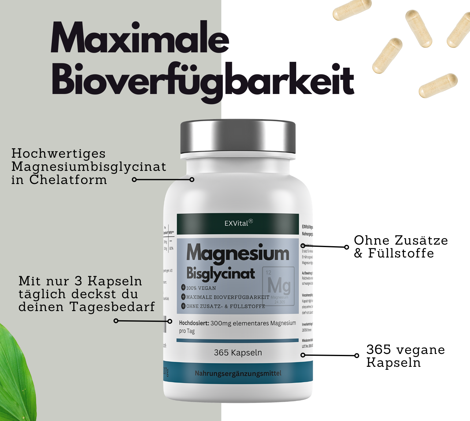 EXVital Magnesiumbisglycinat capsule 365 pz 300 mg magnesio