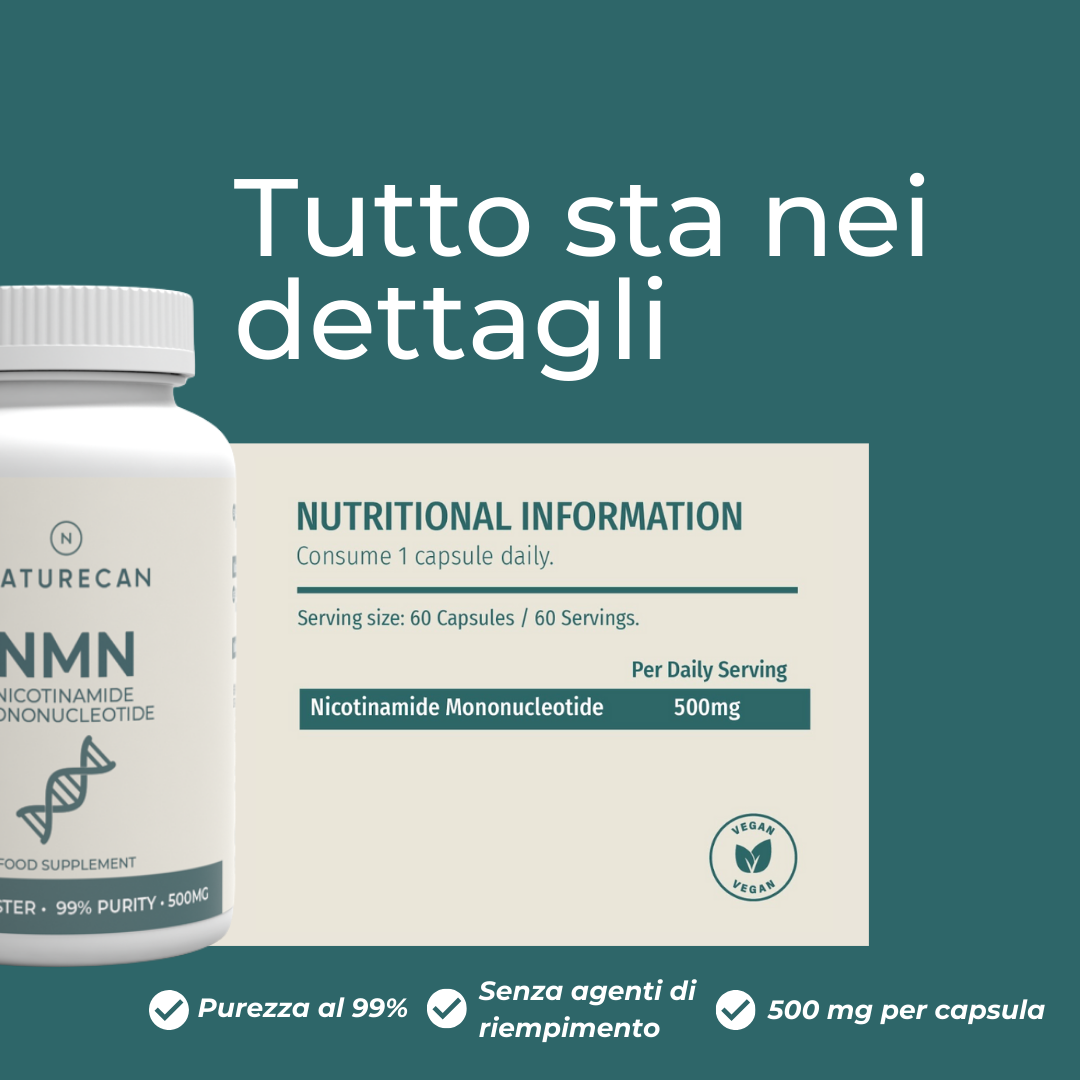 Naturecan Longevity NMN 500 mg capsule 60 capsule NAD+