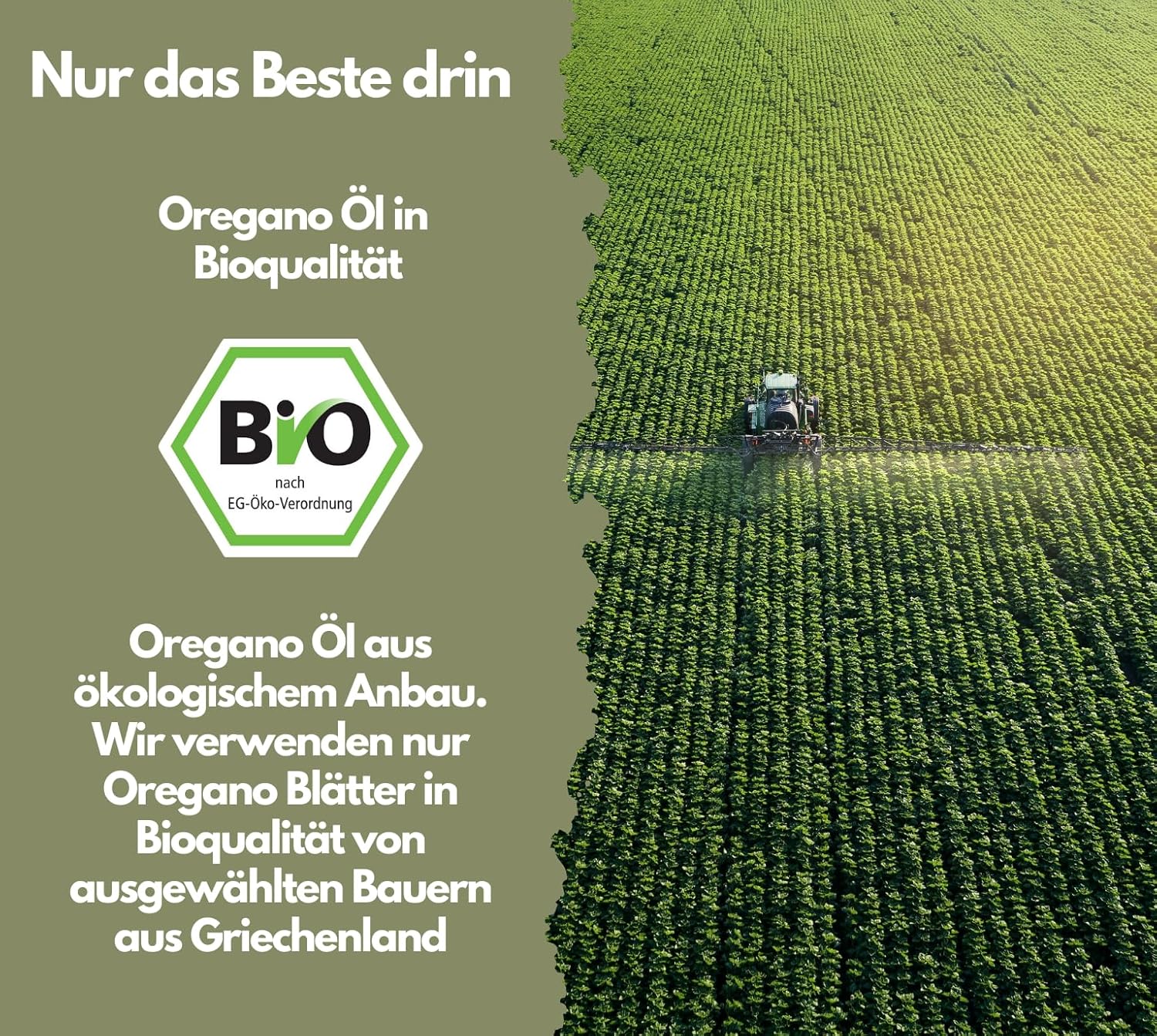 EXVital Bio Olio Origano capsule 60 carvacrolo 80%