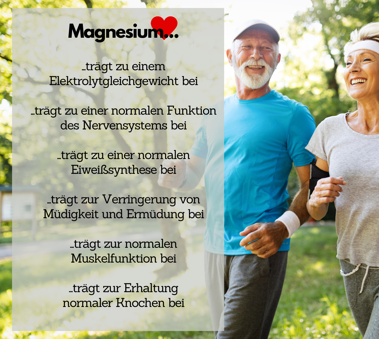 EXVital Magnesiumbisglycinat capsule 365 pz 300 mg magnesio