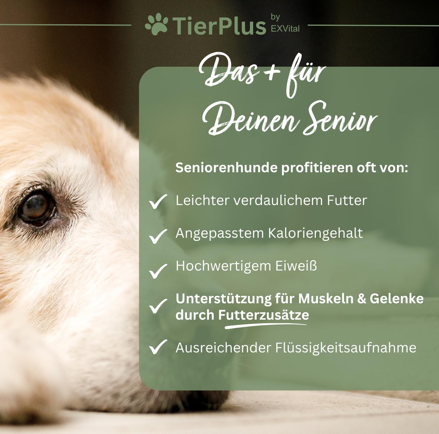 EXVital TierPlus Long Life polvere cani senior omega 3