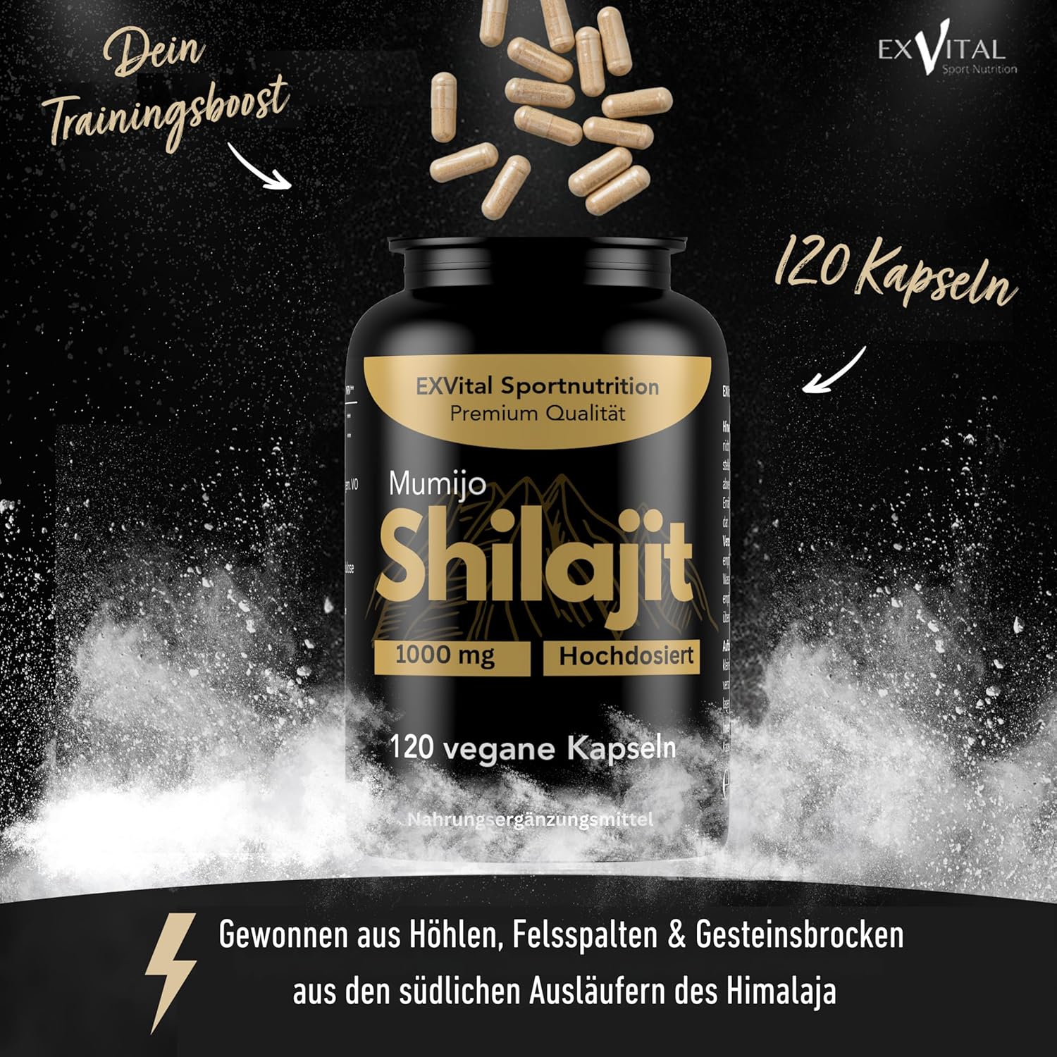EXVital Gehirn & Fokus Mumijo Shilajit 120 capsule Himalaya