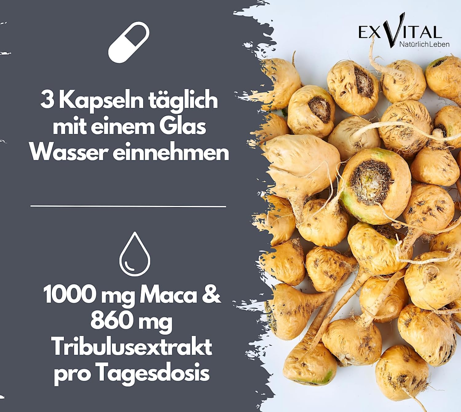 EXVital Sport Maca 1000 Plus Tribulus 90 capsule zinco