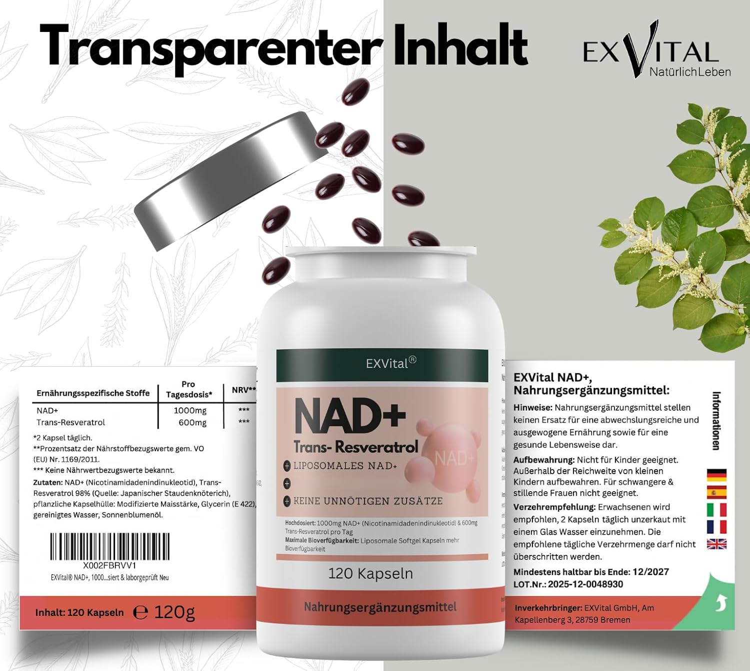 EXVital Beauty NAD+ 1000mg capsule 120 pz con resveratrolo
