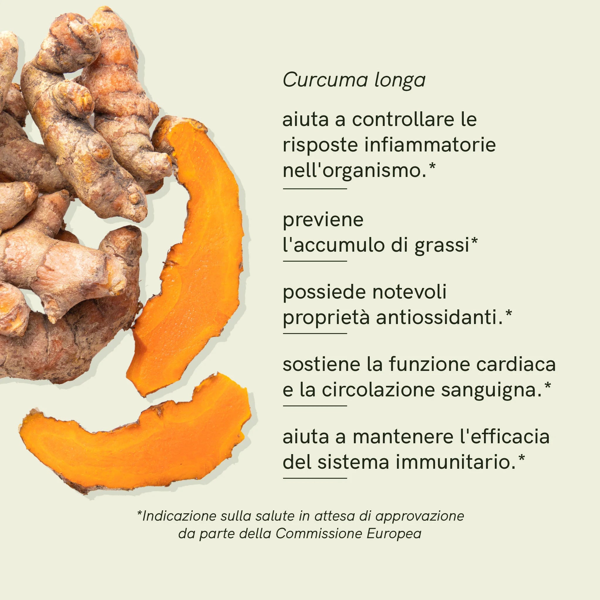 Nordic Oil Curcumina Liposomiale Liquida 250 ml Vegana