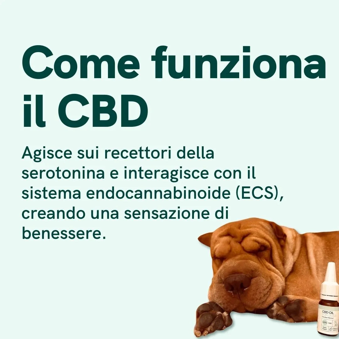 Nordic Oil CBD Oil Plus olio cani gusto manzo calmante