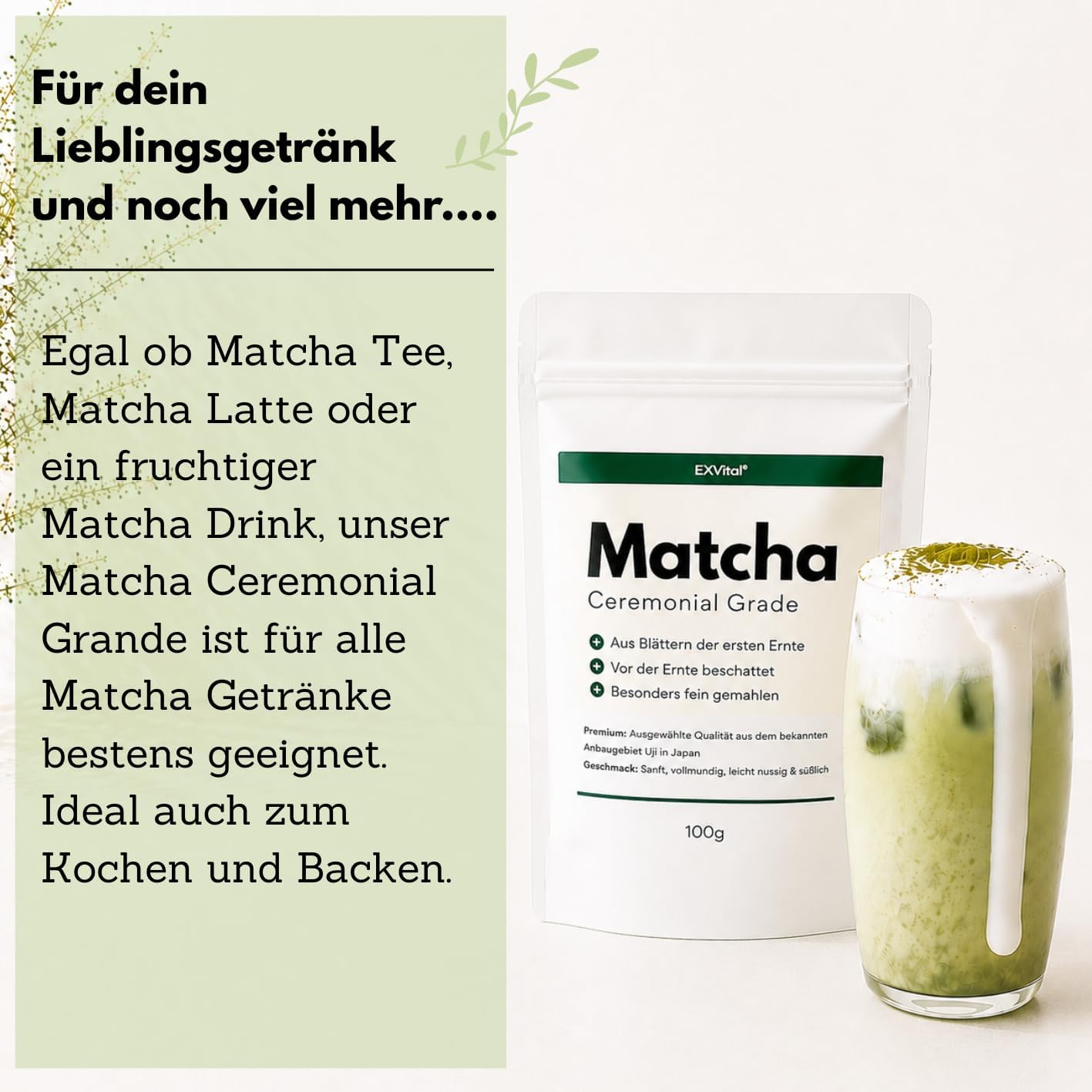 EXVital Matcha Ceremonial Grade tè matcha 100 g Uji Giappone