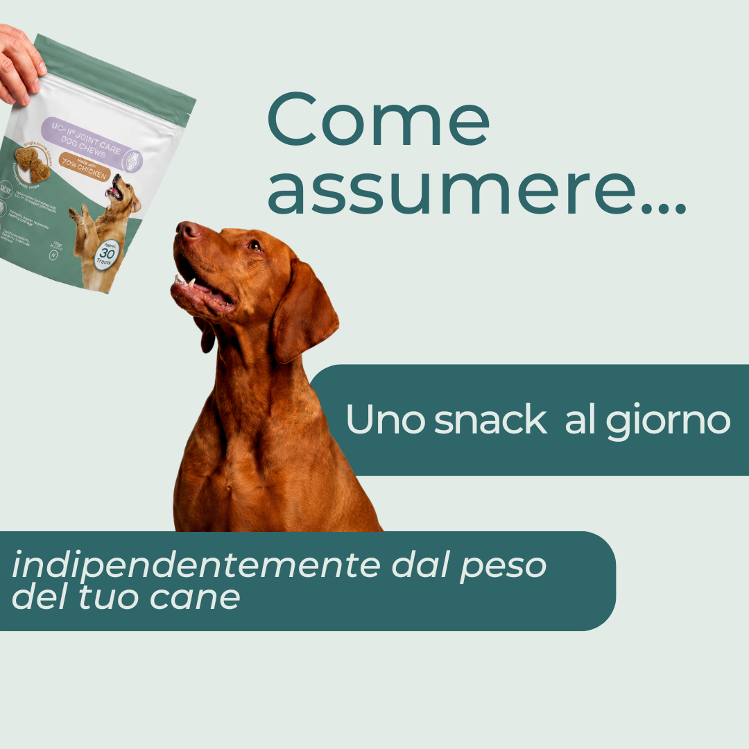 Naturecan CBD for Pets snack cani collagene 60 pack