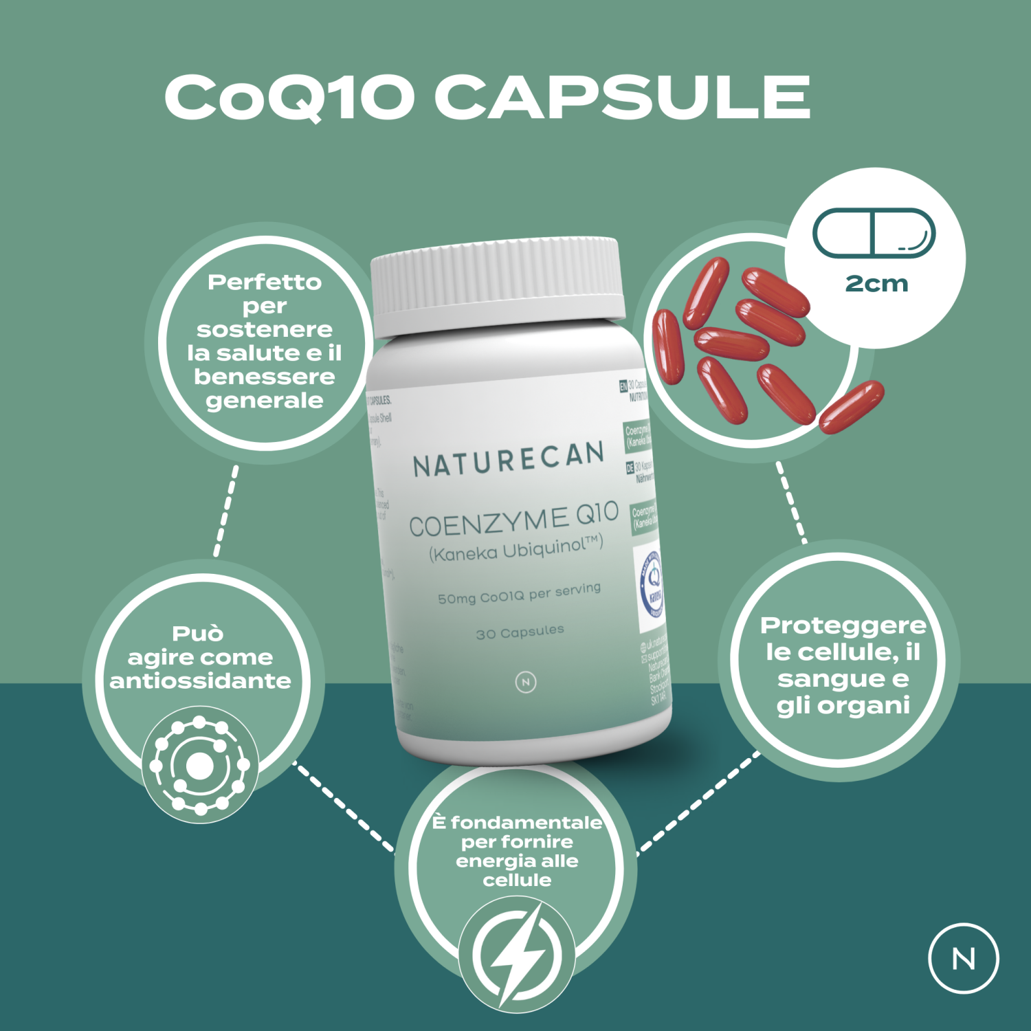 Naturecan Longevity Coenzima Q10 Capsule 60 cps 50mg Cuore