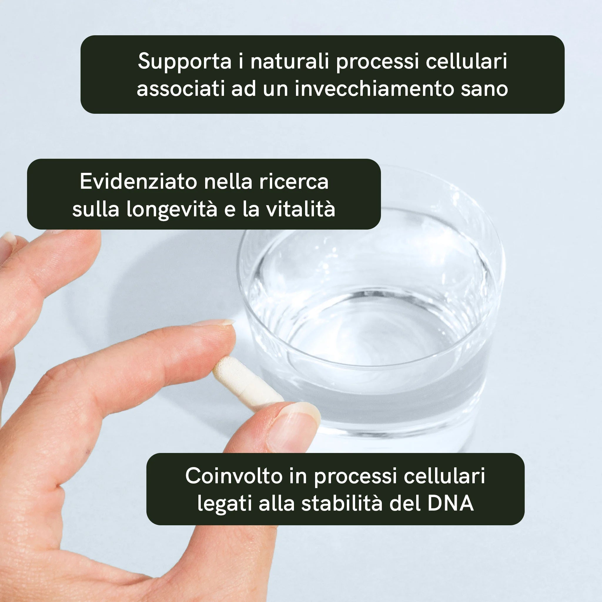 Nordic Oil NAD+ Capsule 300 mg 60 Capsule Vegane