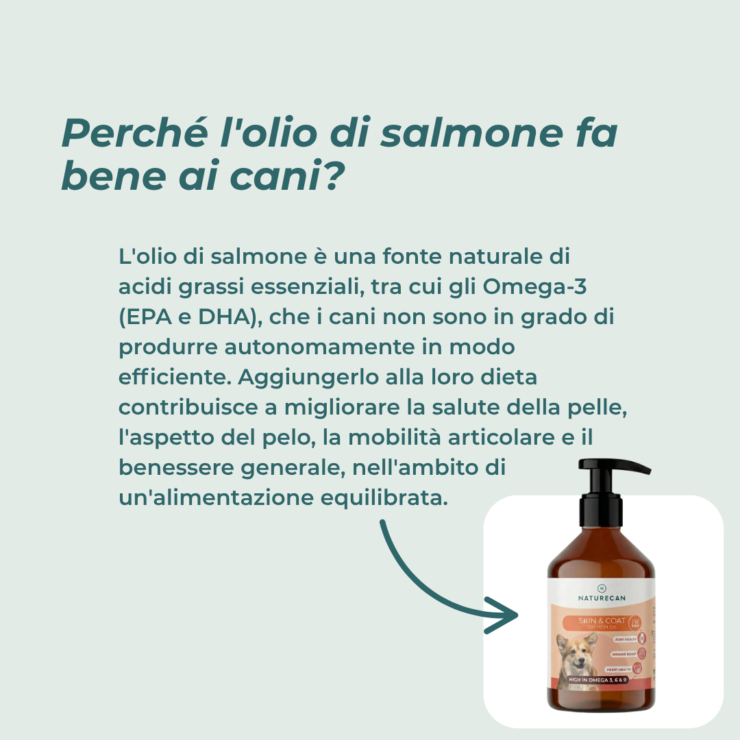 Naturecan Olio di Salmone per Cani omega 3