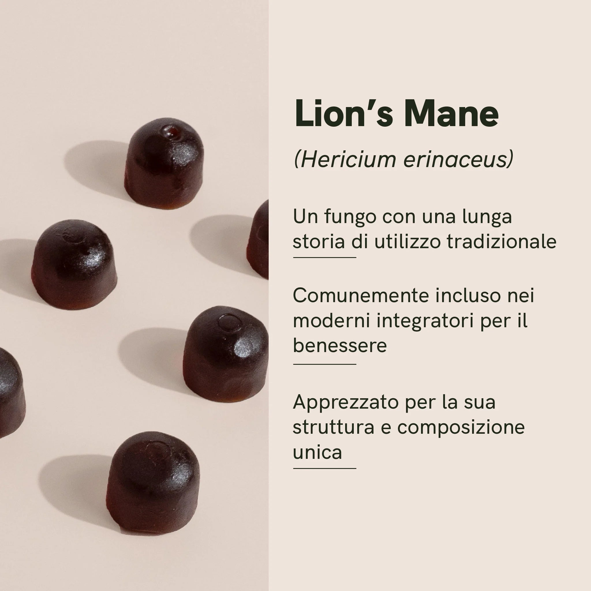 Nordic Oil CBD Gummies Gommose Lion's Mane 60 pezzi vegane
