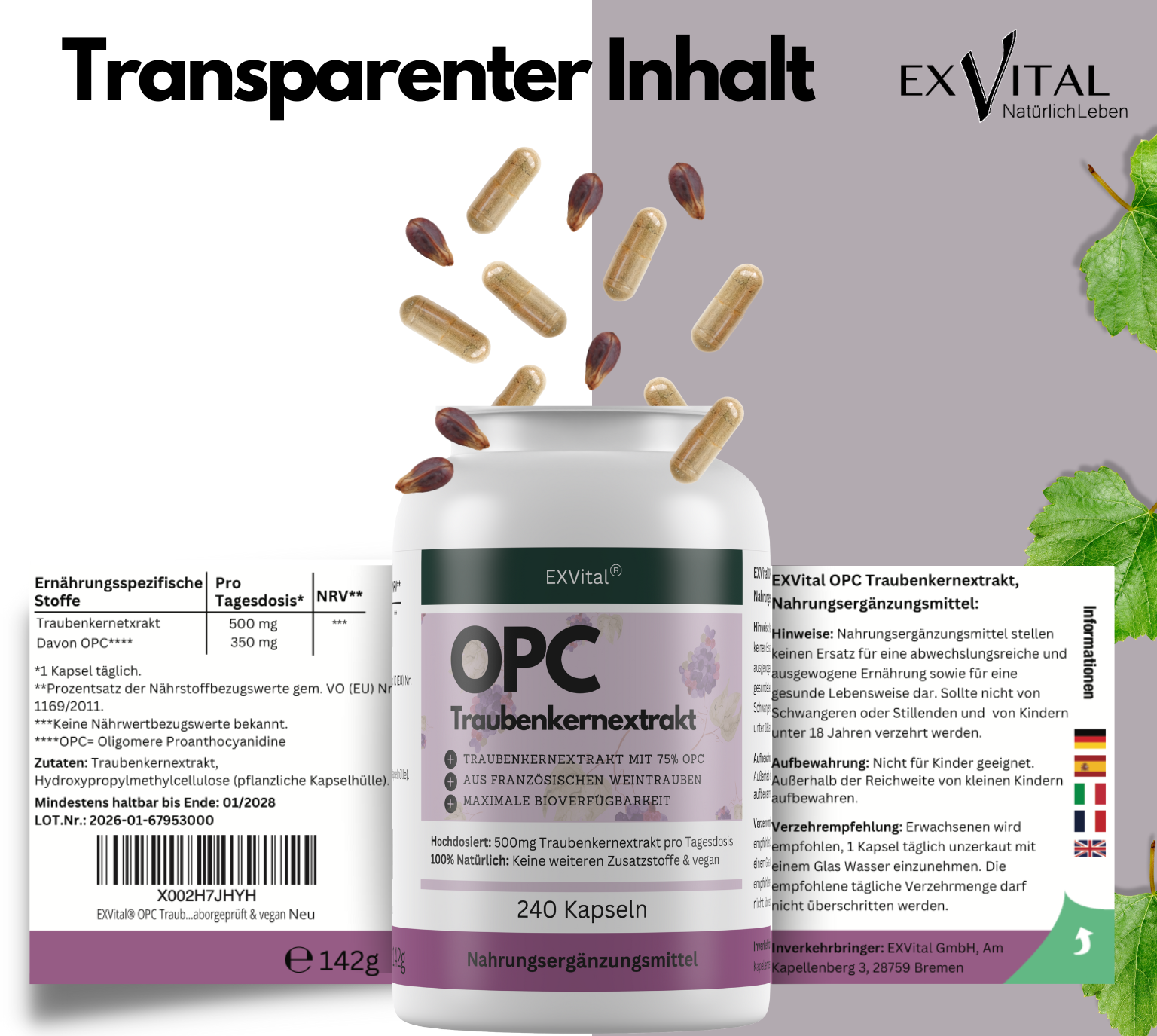 EXVital Beauty & Anti-Aging OPC 240 capsule semi uva alto dosaggio
