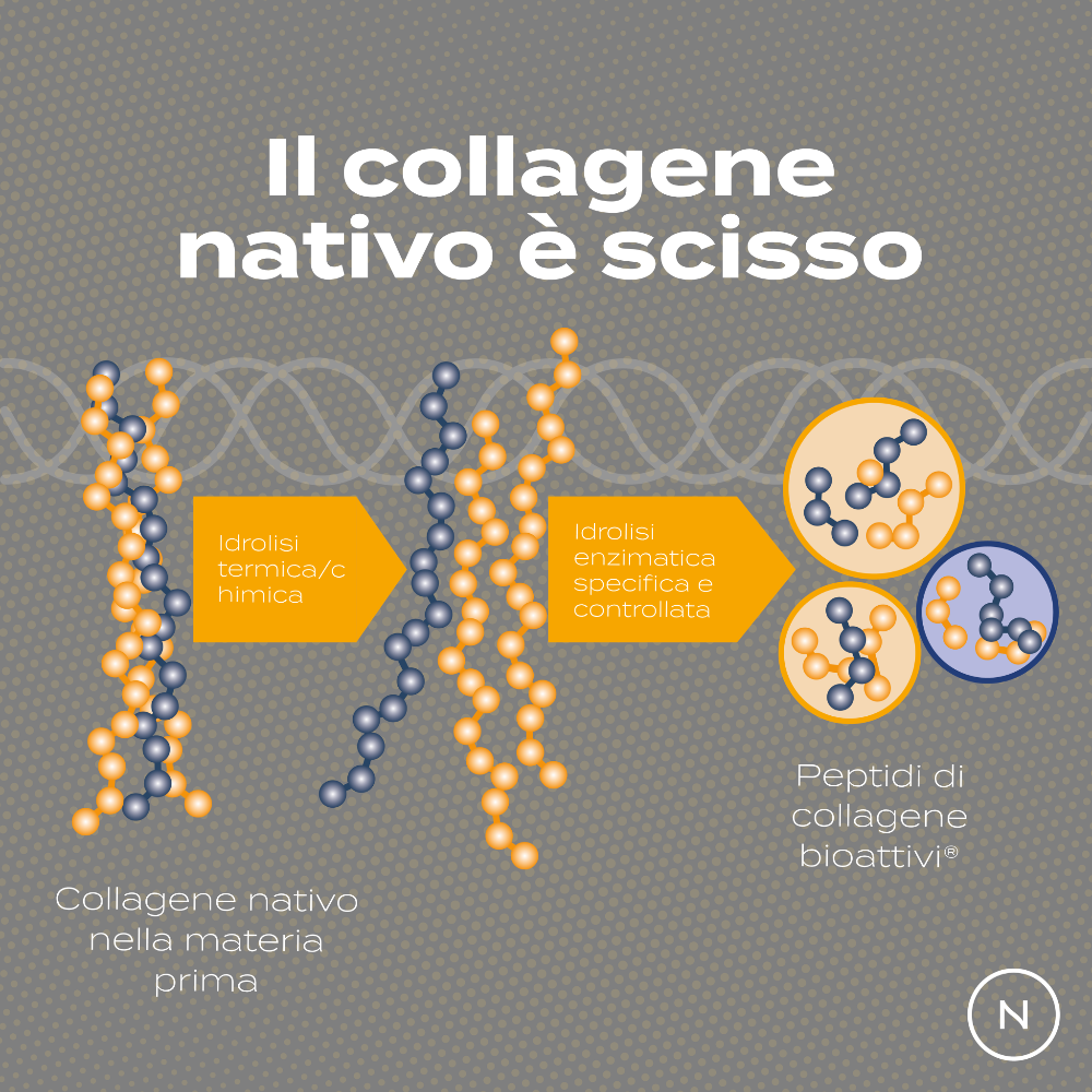 Naturecan Longevity Peptidi di Collagene Polvere 300g Vaniglia