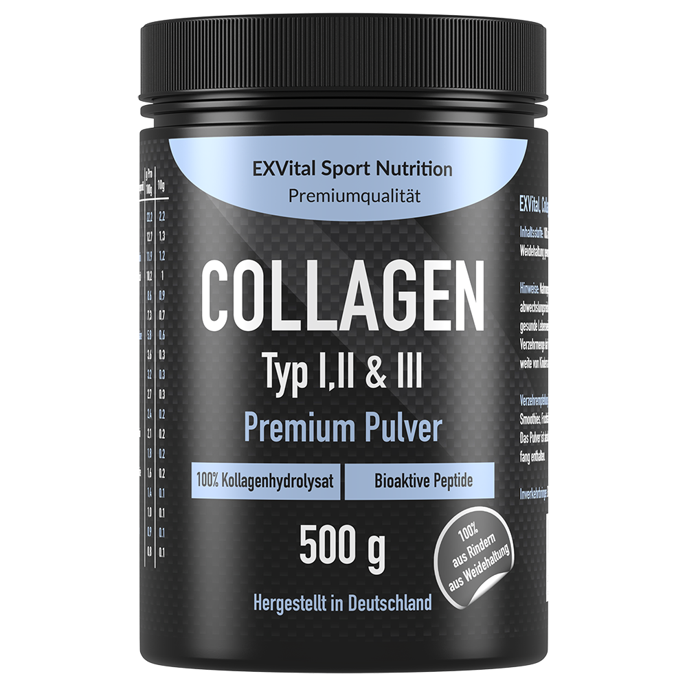 EXVital Kollagen Collagen Pulver polvere 500 g neutro
