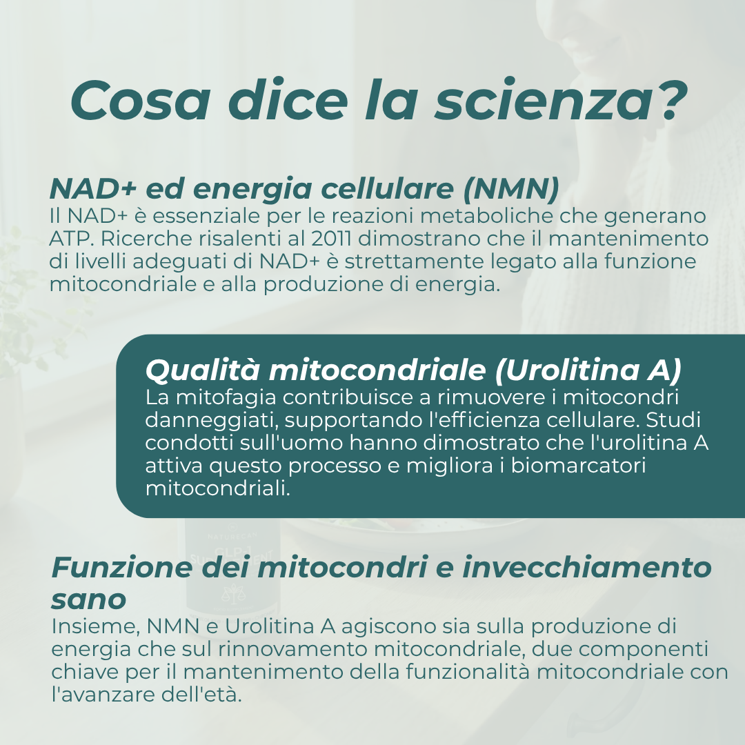 Naturecan Bundles NMN Urolitina A Integratore 60 Capsule Energia