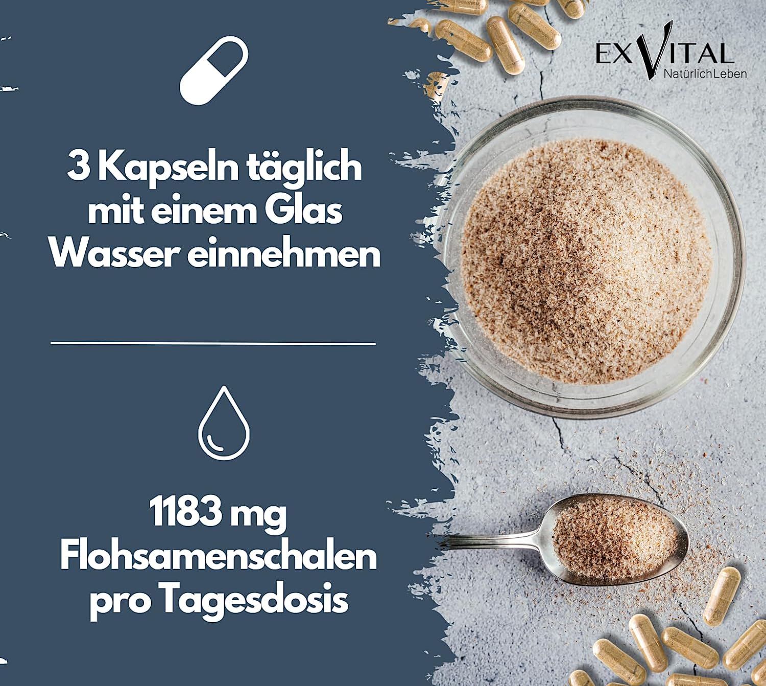 EXVital Darmgesundheit Colon Ex capsule 90 psillio magnesio