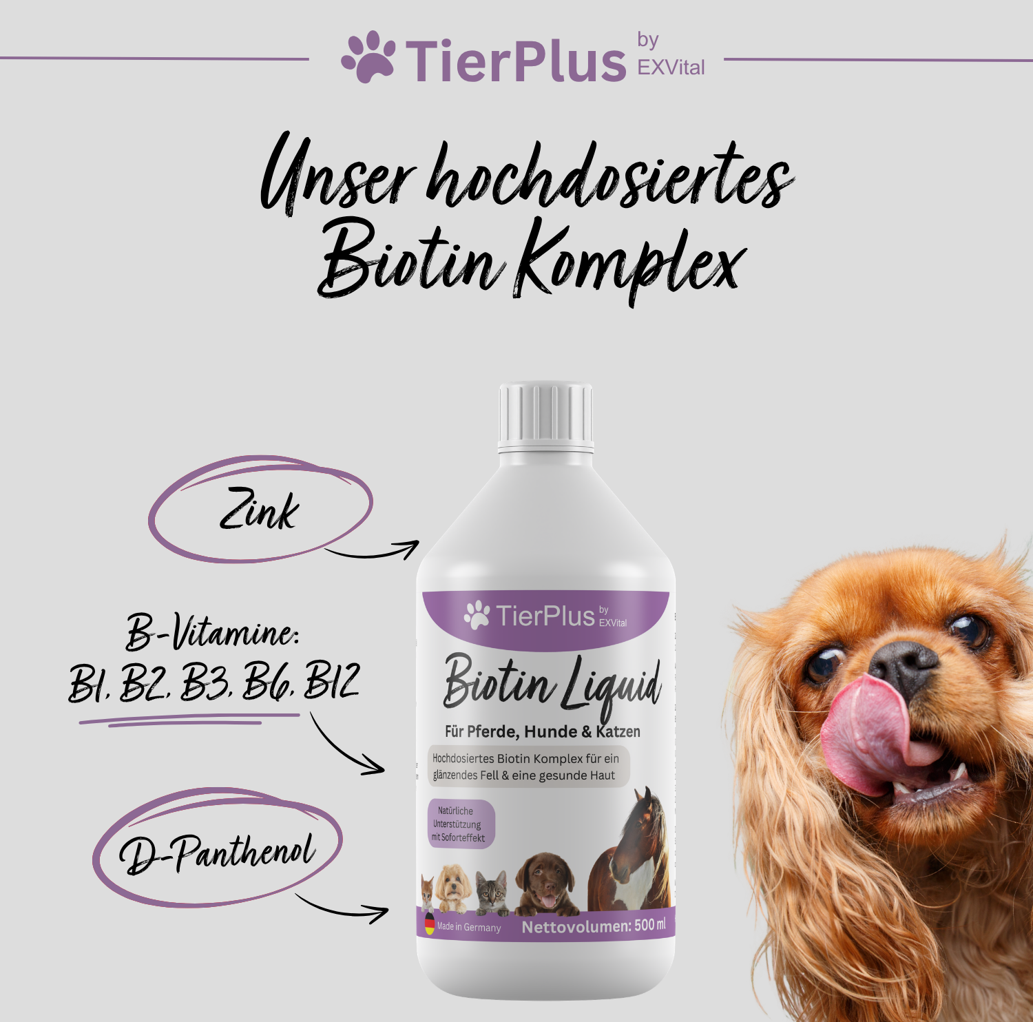 EXVital TierPlus Biotina Liquida cavalli cani gatti zinco