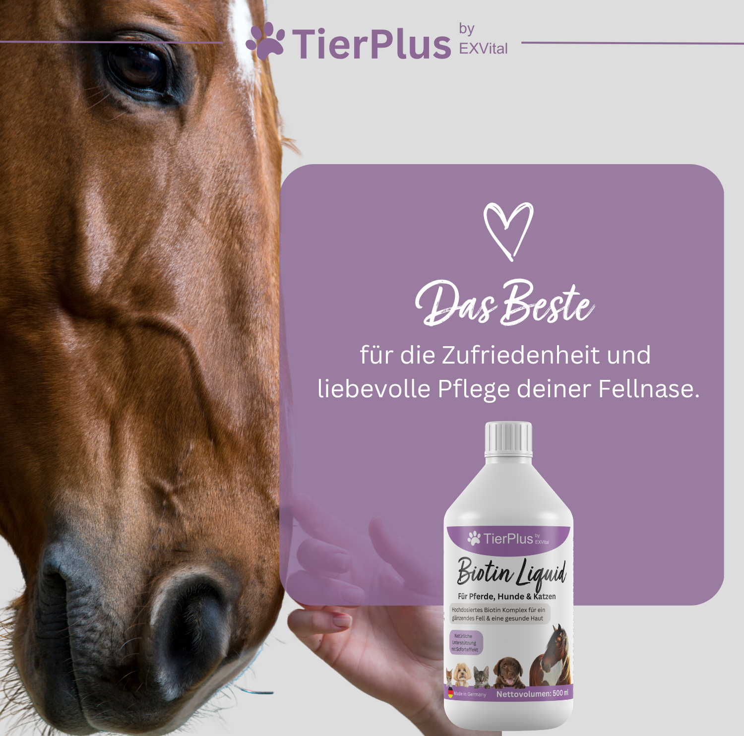 EXVital TierPlus Biotina Liquida cavalli cani gatti zinco