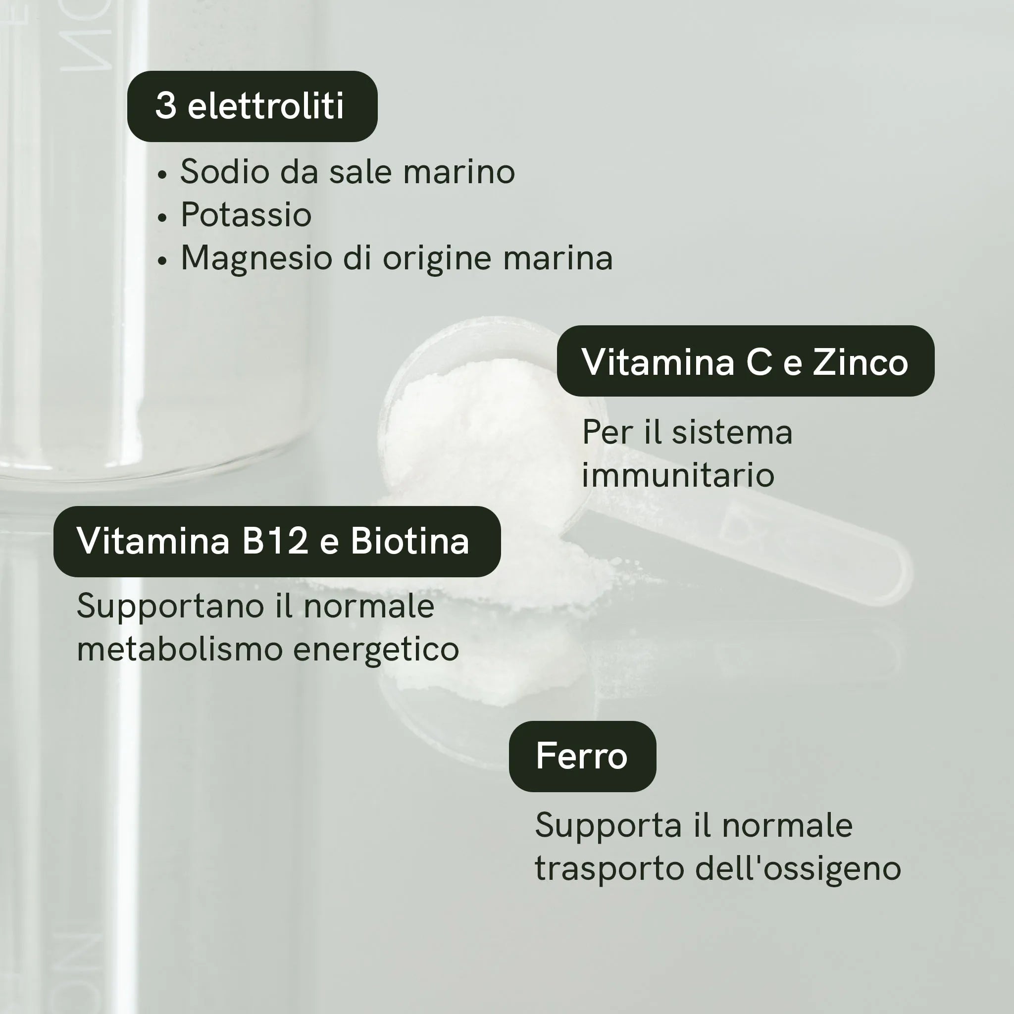 Nordic Oil Elettroliti in Polvere Limone 250 g Vegano