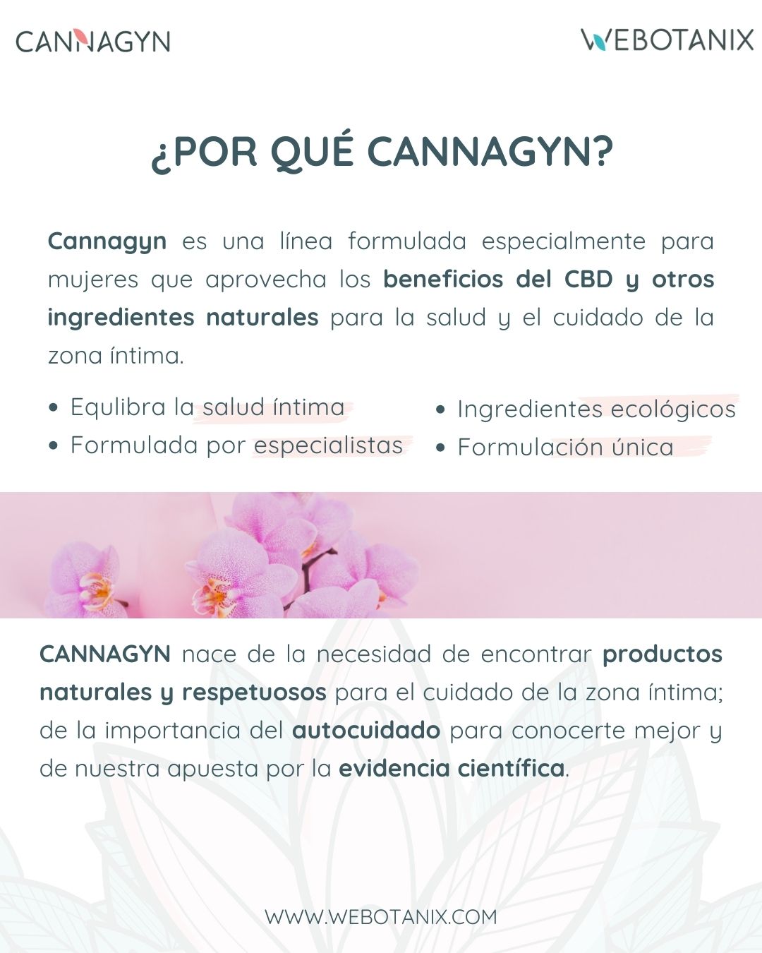 Webotanix Cannagyn Gel intimo BIO 250 ml pH naturale