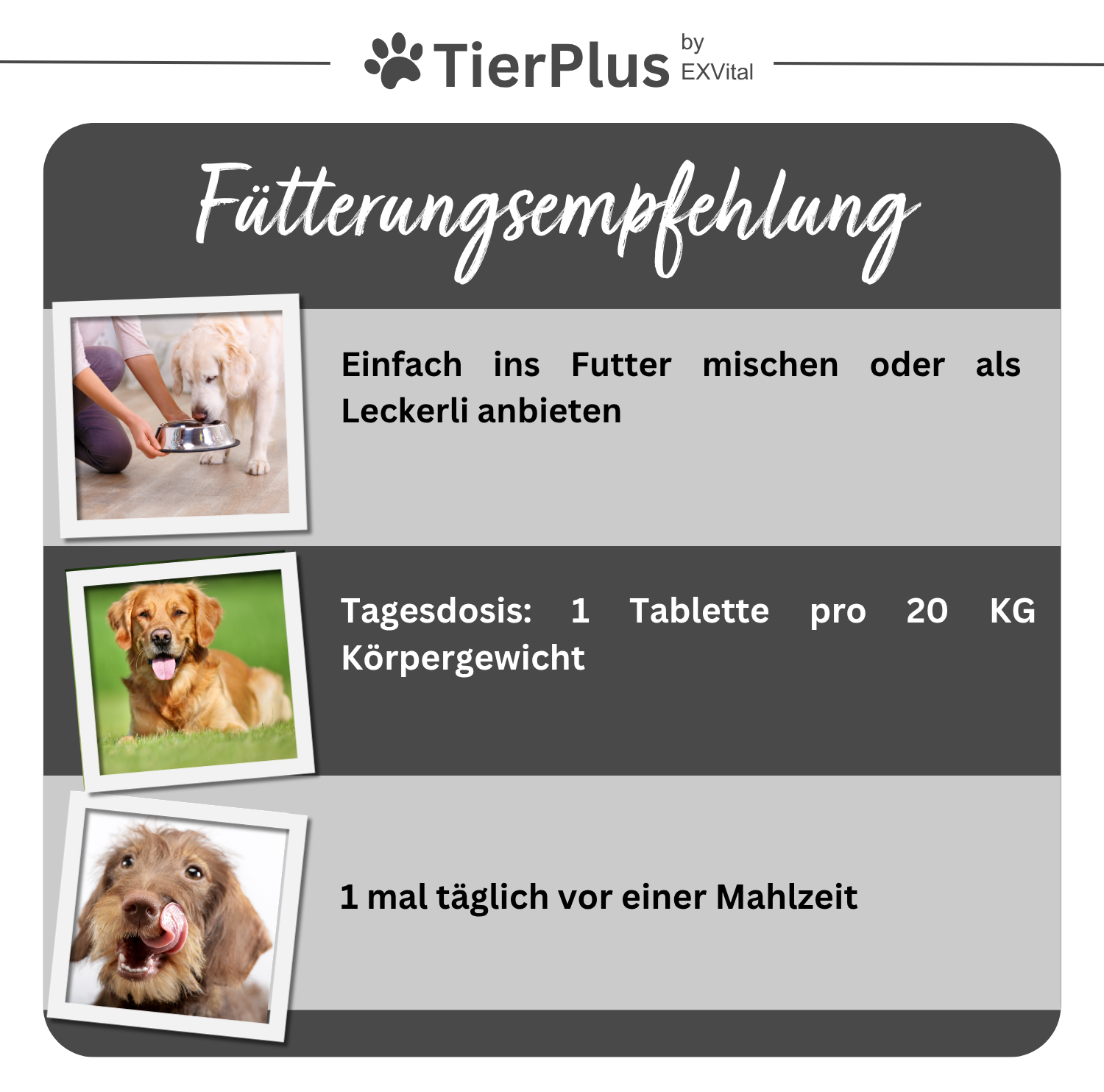 EXVital Grünlippmuschel Plus compresse cani 120 pz