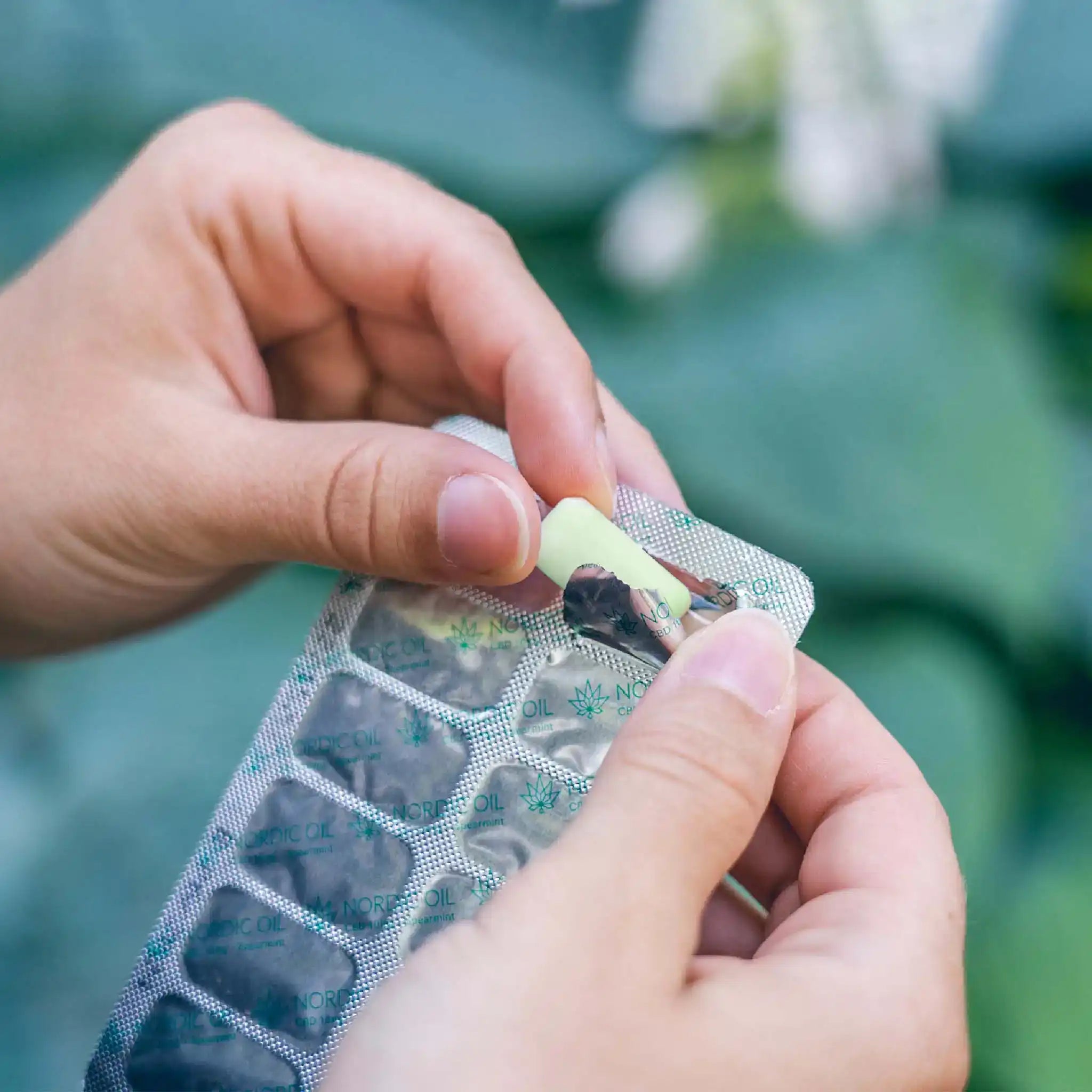 Nordic Oil Gummies Chewing Gum CBD menta senza zucchero