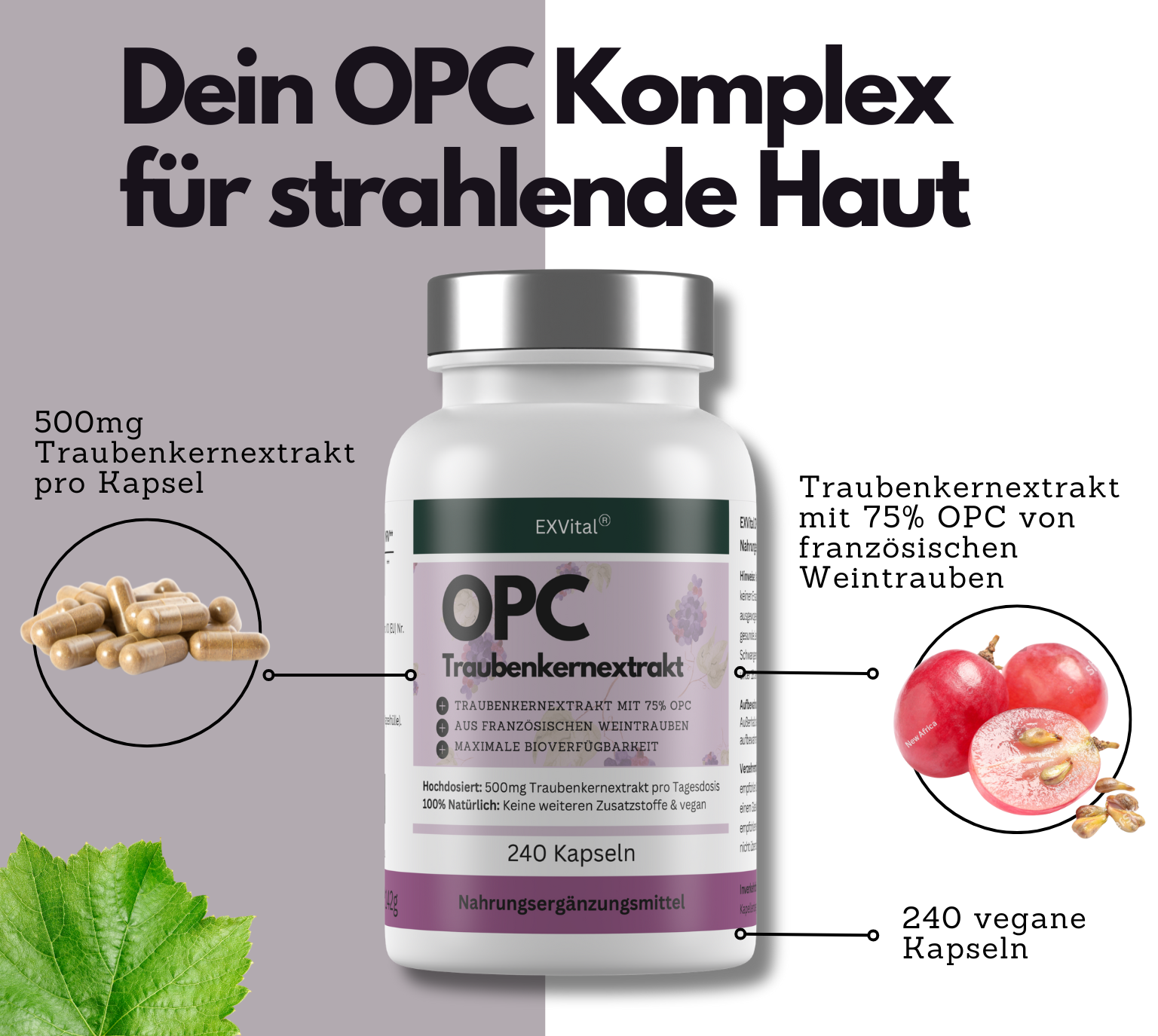 EXVital Beauty & Anti-Aging OPC 240 capsule semi uva alto dosaggio
