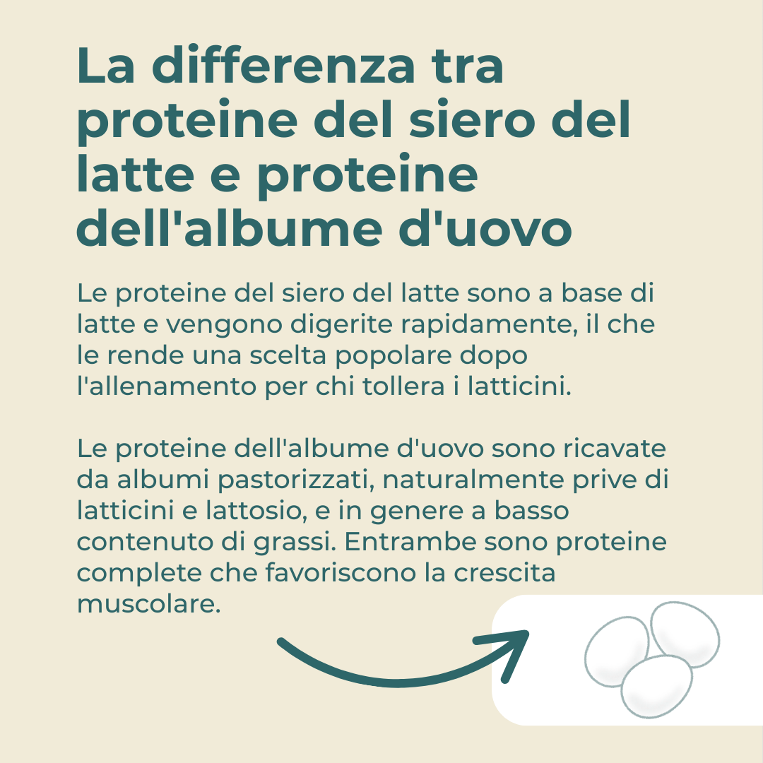 Naturecan Protein albume uovo polvere vaniglia 23 g