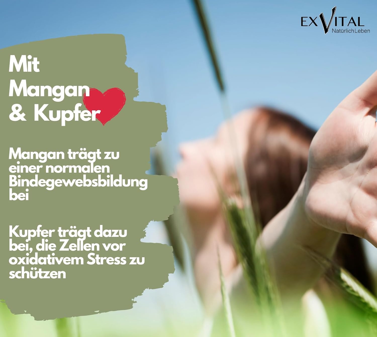 EXVital Frauengesundheit Brennnessel Komplex capsule 120 pz vite rossa