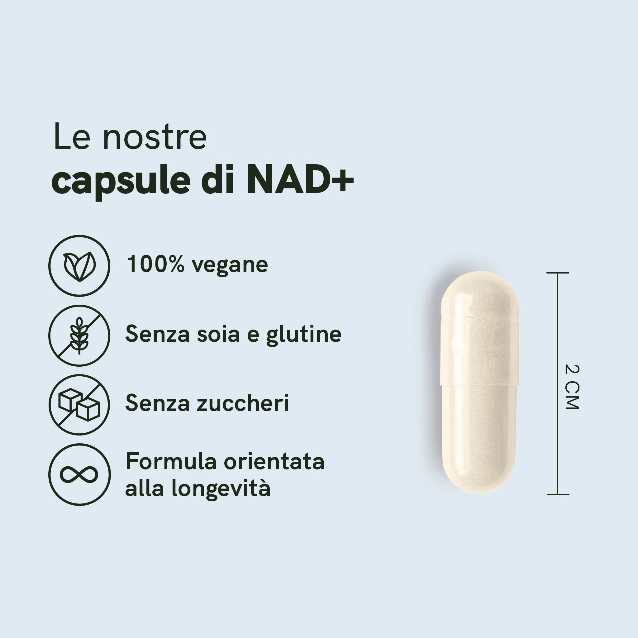 Nordic Oil NAD+ Capsule 300 mg 60 Capsule Vegane