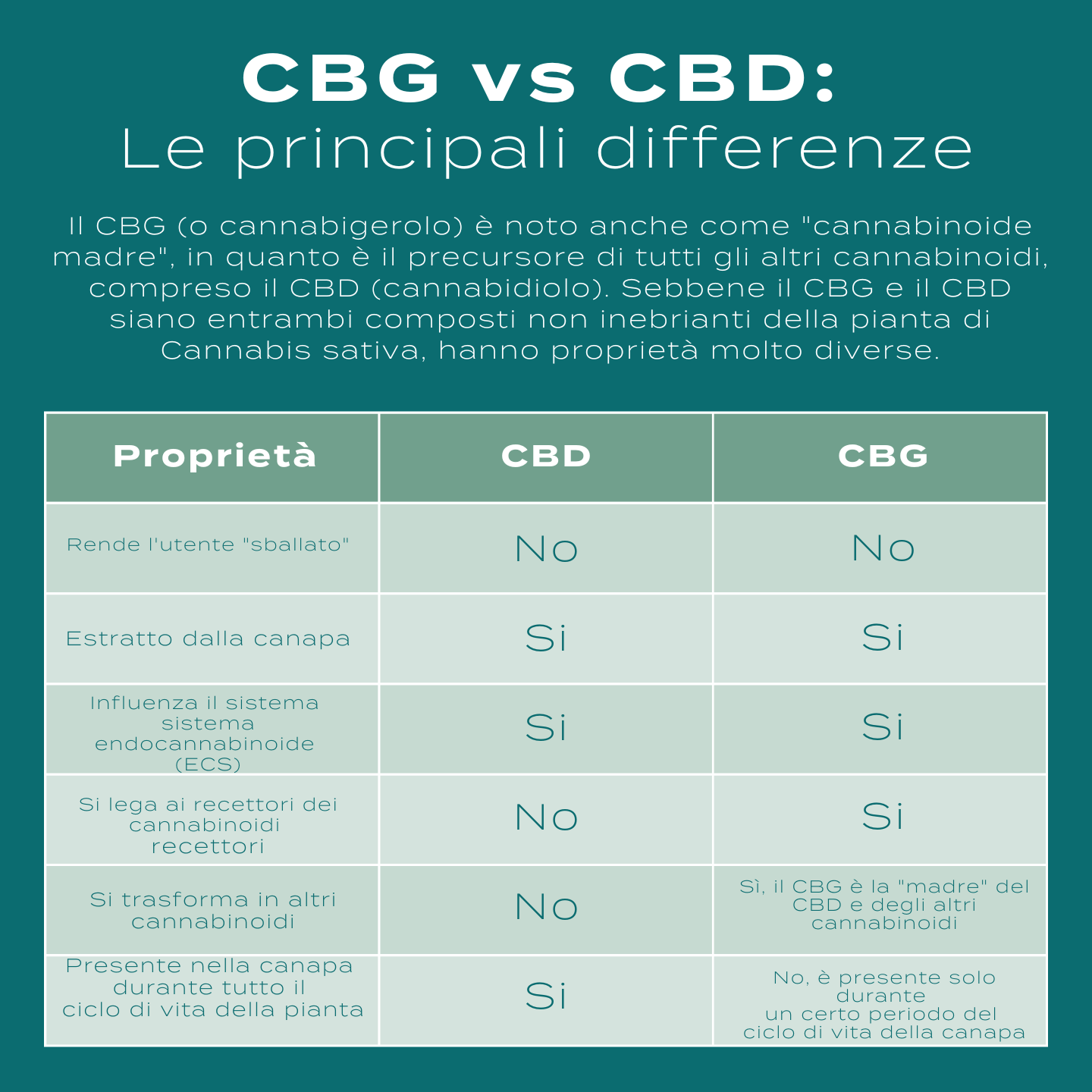 Naturecan CBG Olio CBG 30ml 10% MCT Vegano THC 0,01%