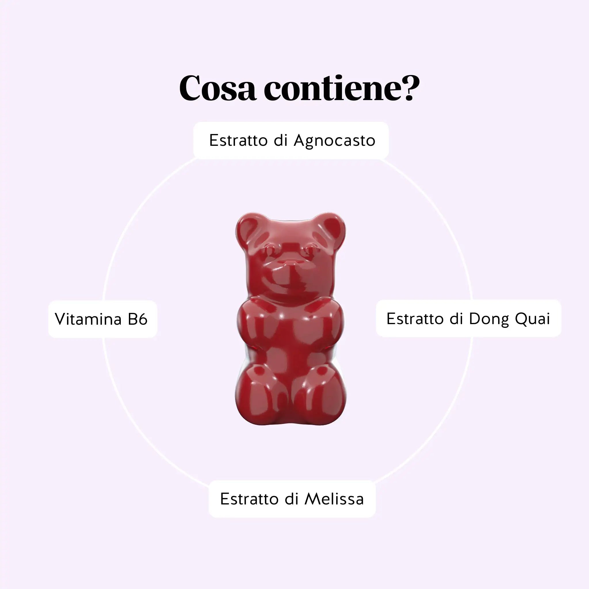 Beauty Bears Duo Equilibrio Intimo e Ciclo orsetti bundle donna