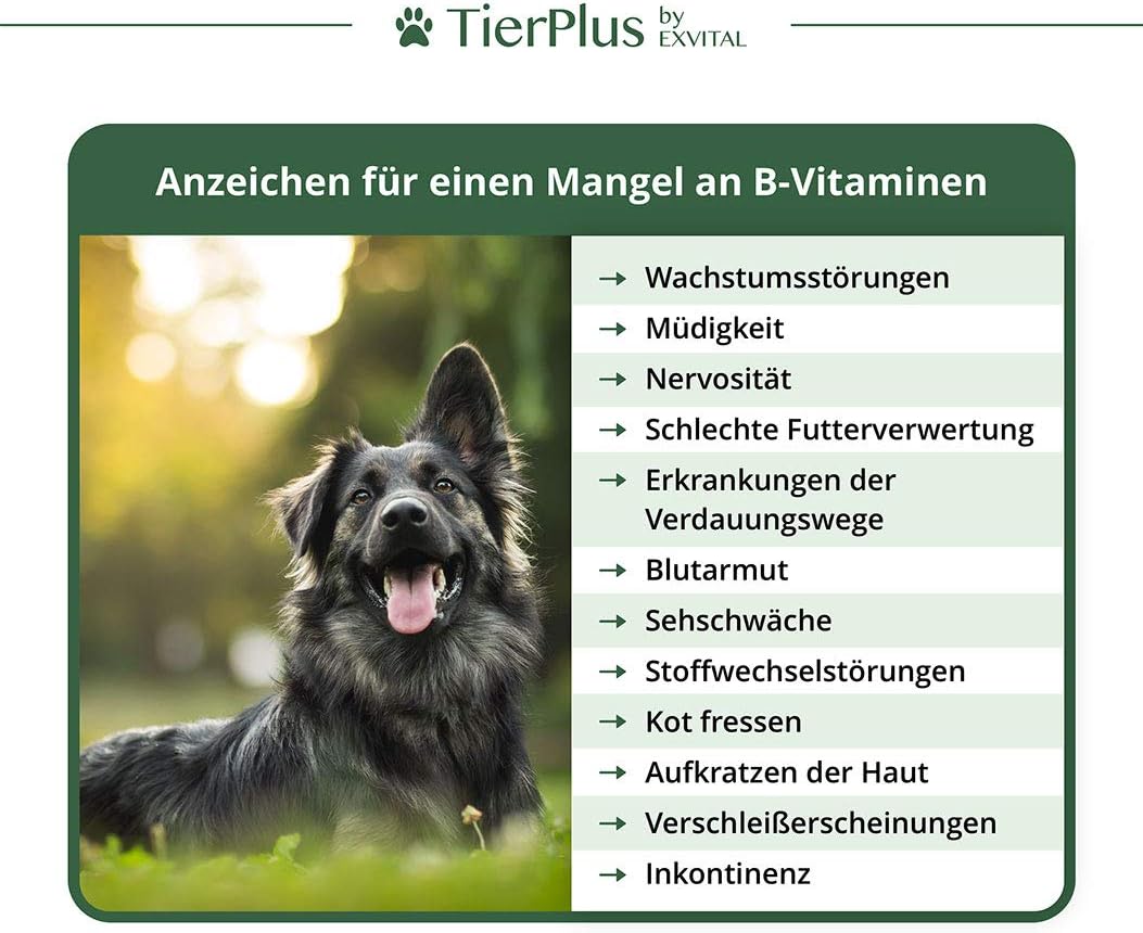 EXVital Tierplus Vitamina B Complex 120 compresse cani gatti