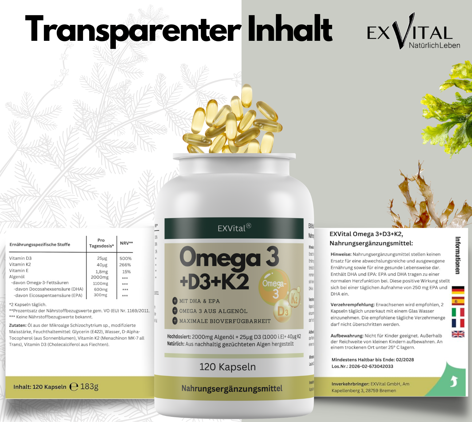 EXVital Omega 3 D3 K2 capsule 120 olio alghe vegano
