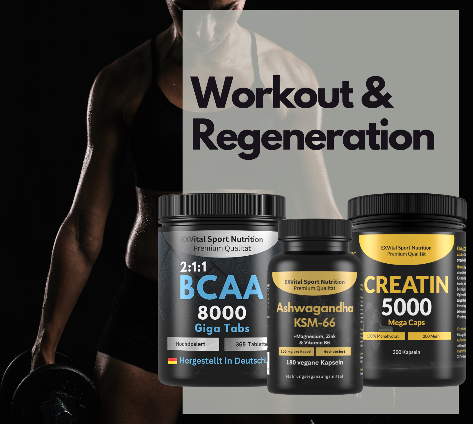 EXVital Workout Regeneration Set BCAA creatina ashwagandha