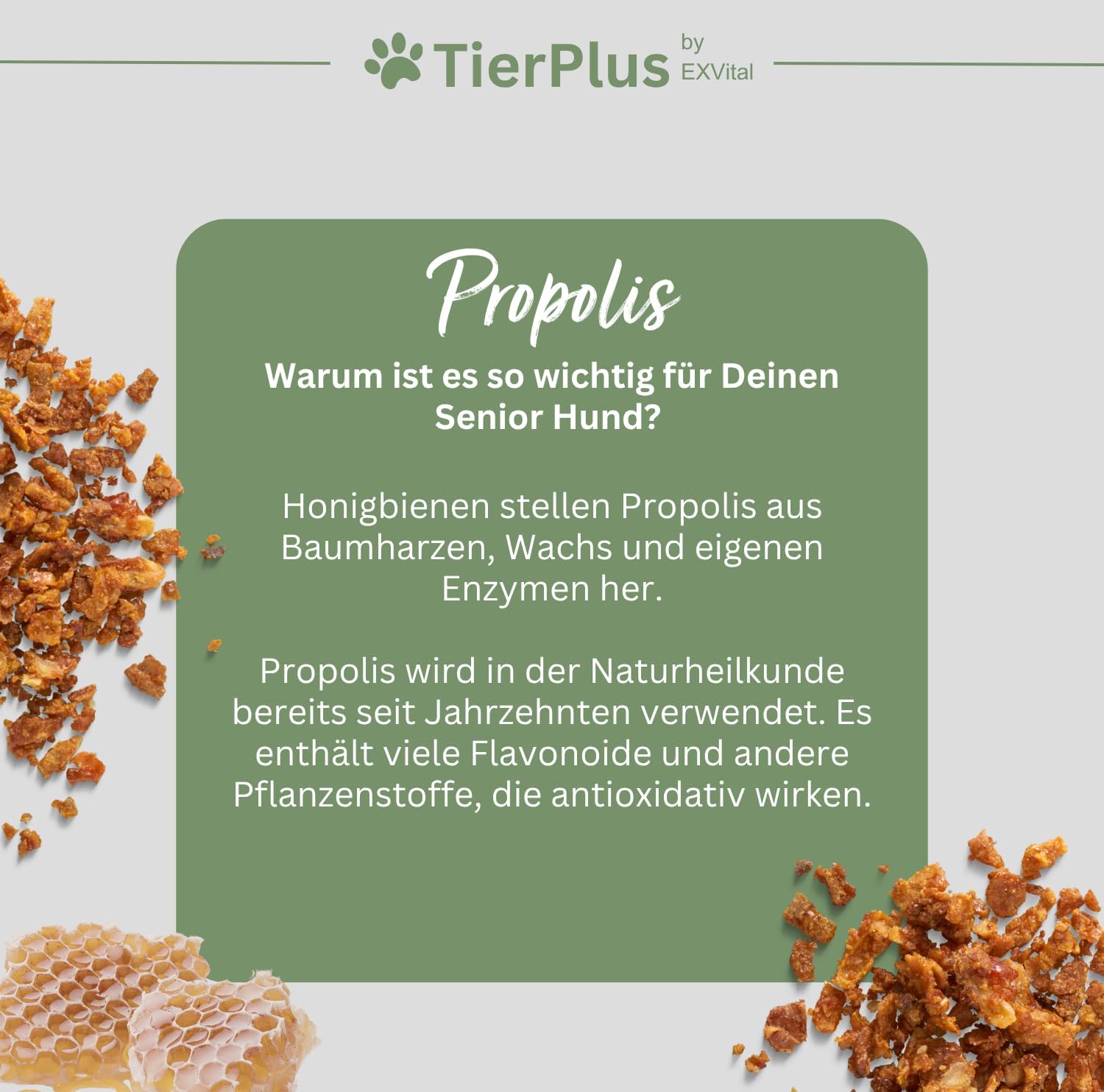 EXVital TierPlus Long Life polvere cani senior omega 3