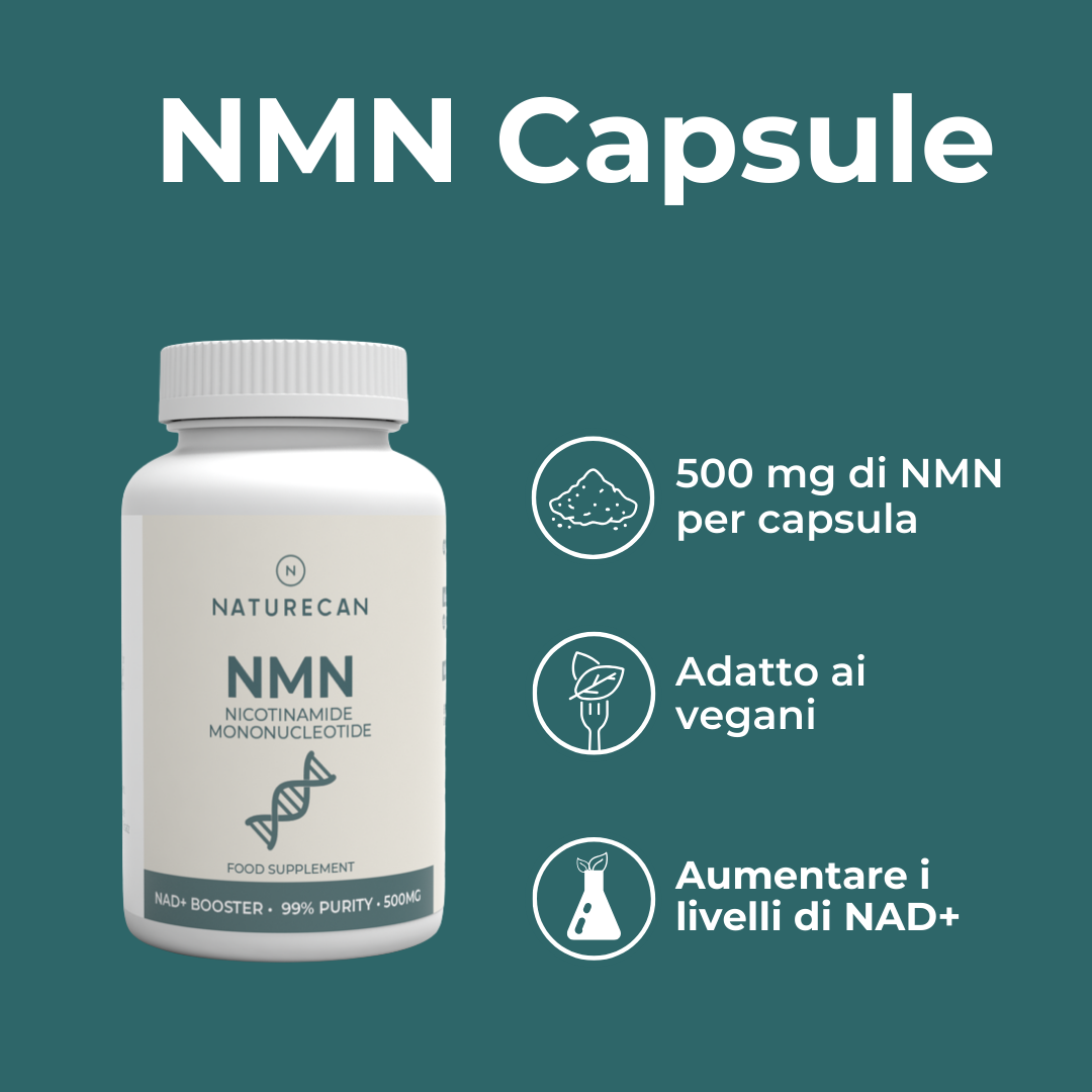 Naturecan Longevity NMN 500 mg capsule 60 capsule NAD+