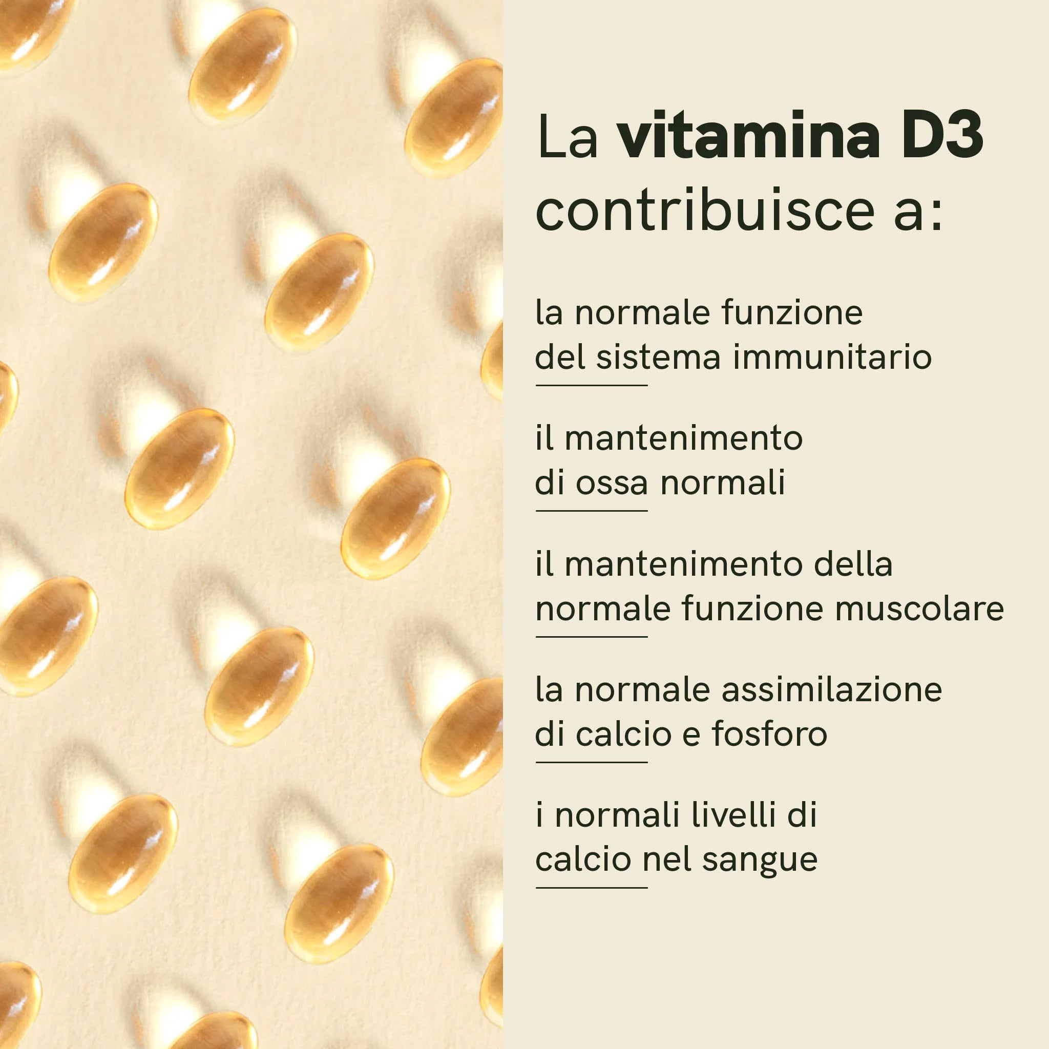 Nordic Oil Vitamina D3 capsule 120 olio MCT vegane
