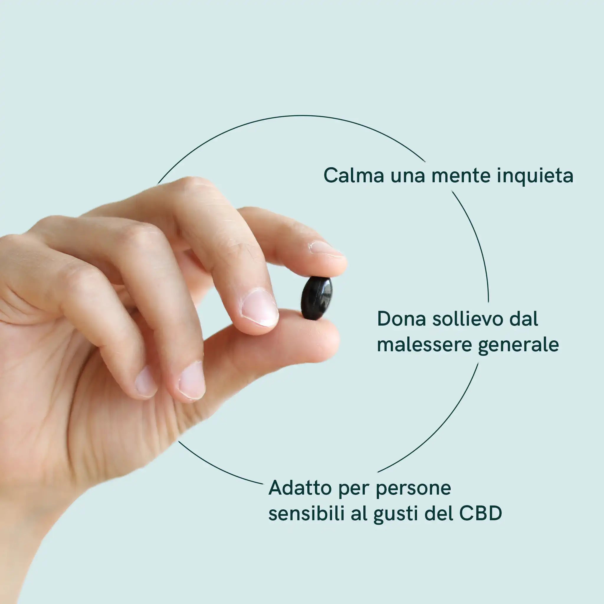 Nordic Oil CBD Capsules 960mg capsule CBD 3x2 dosaggio standard