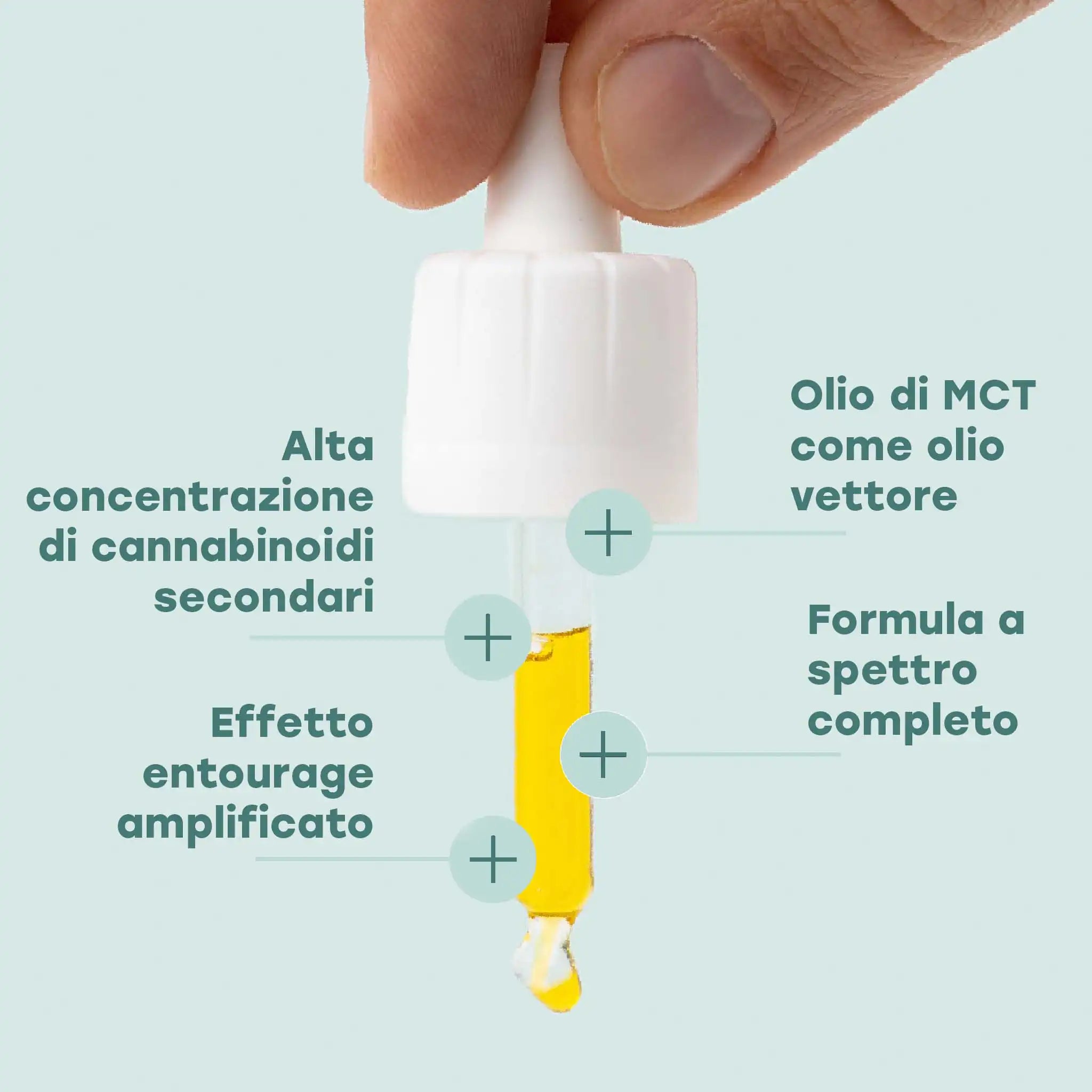 Nordic Oil CBD Oil Plus olio CBD 40% 10ml forte esperti