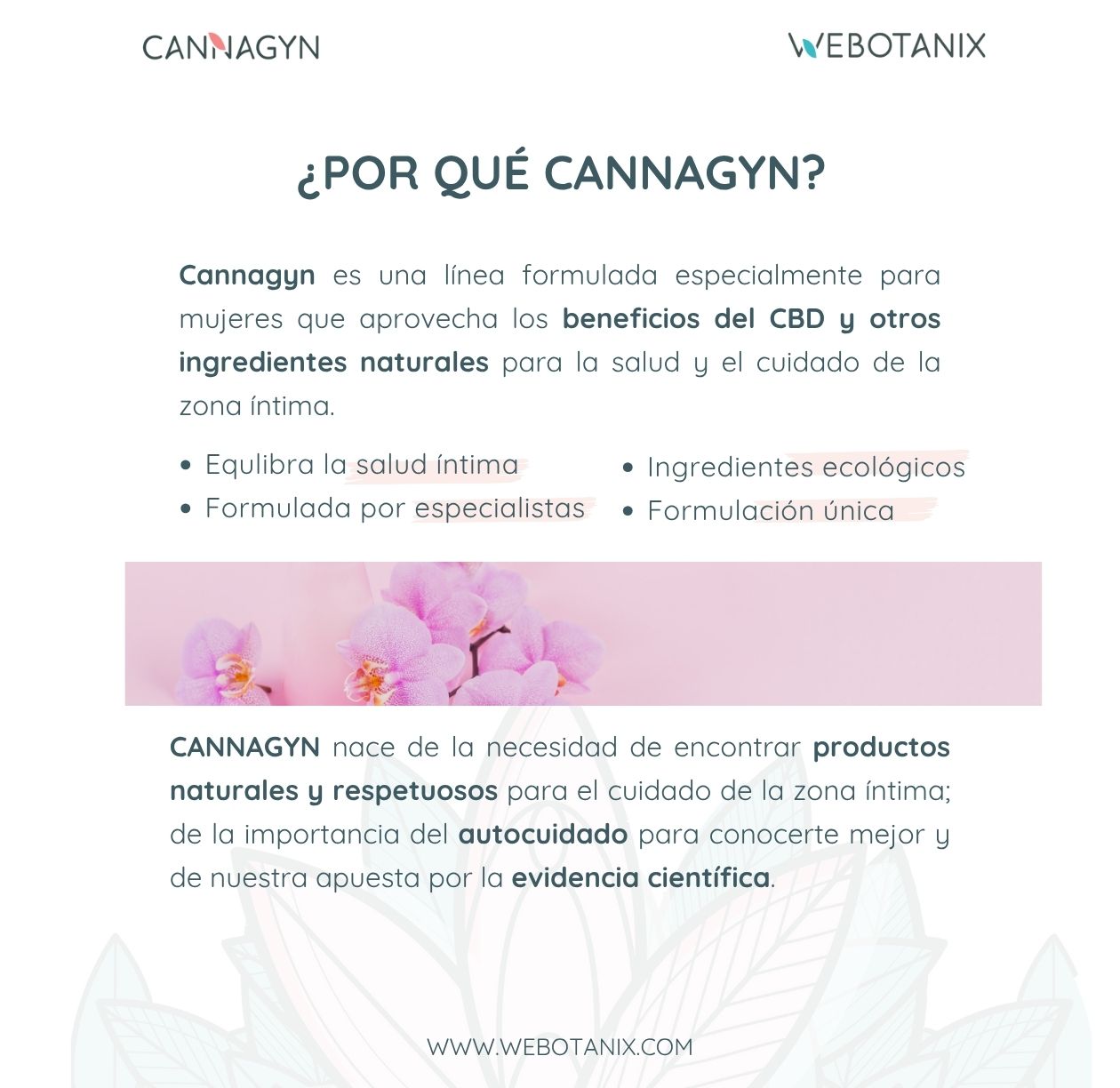 Webotanix Cannagyn Pack kit intimo al CBD
