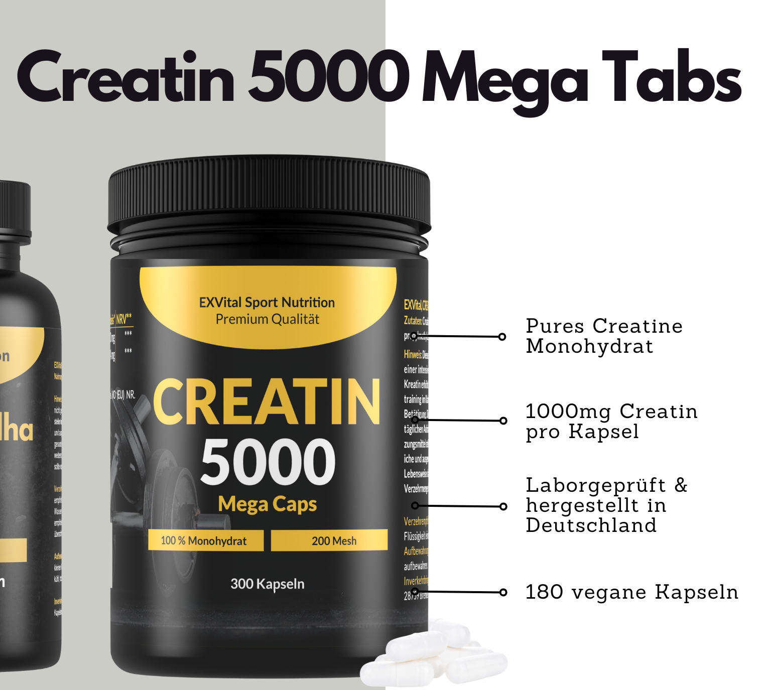 EXVital Workout Regeneration Set BCAA creatina ashwagandha
